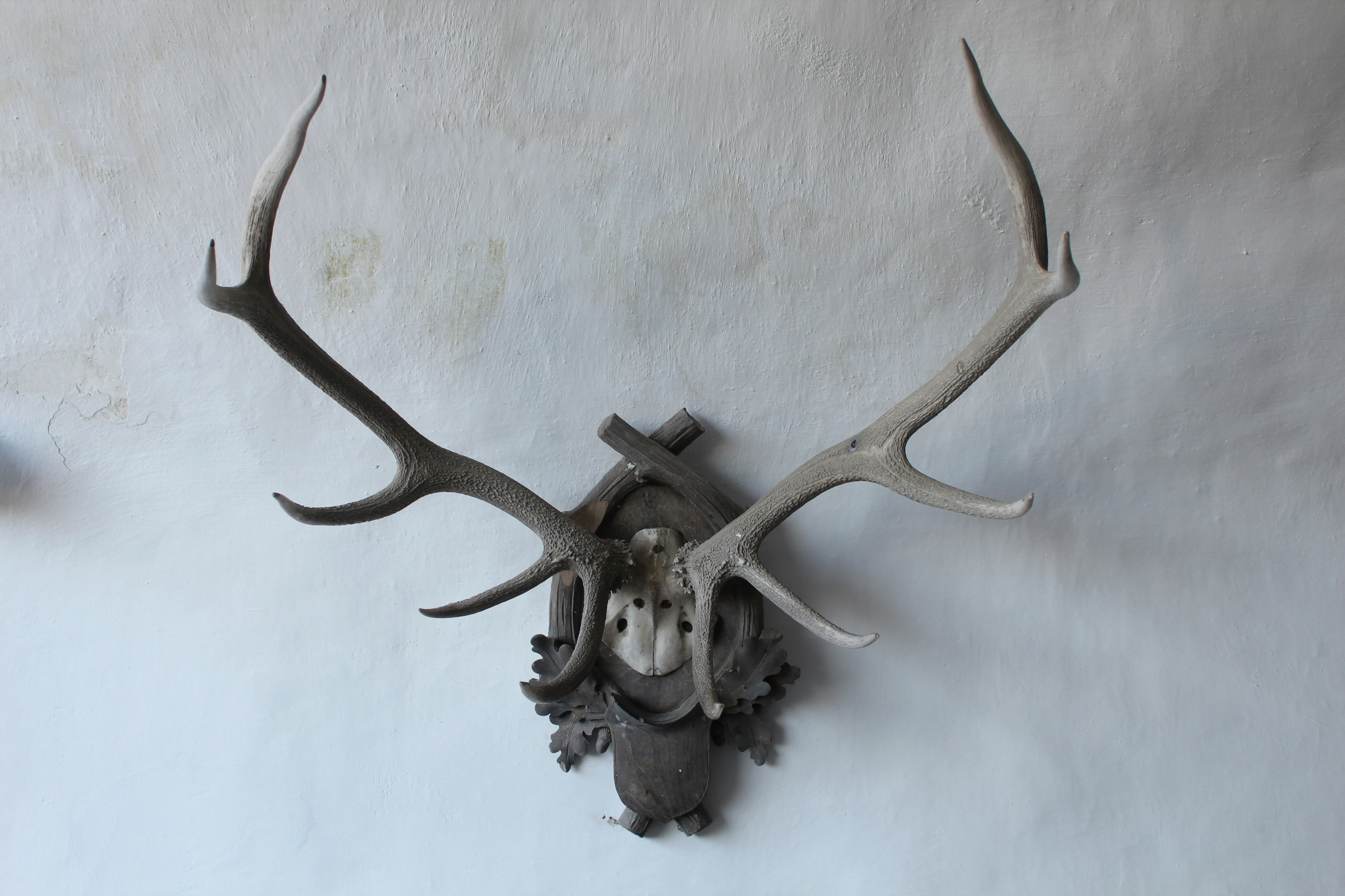 Photo by haggaidavid