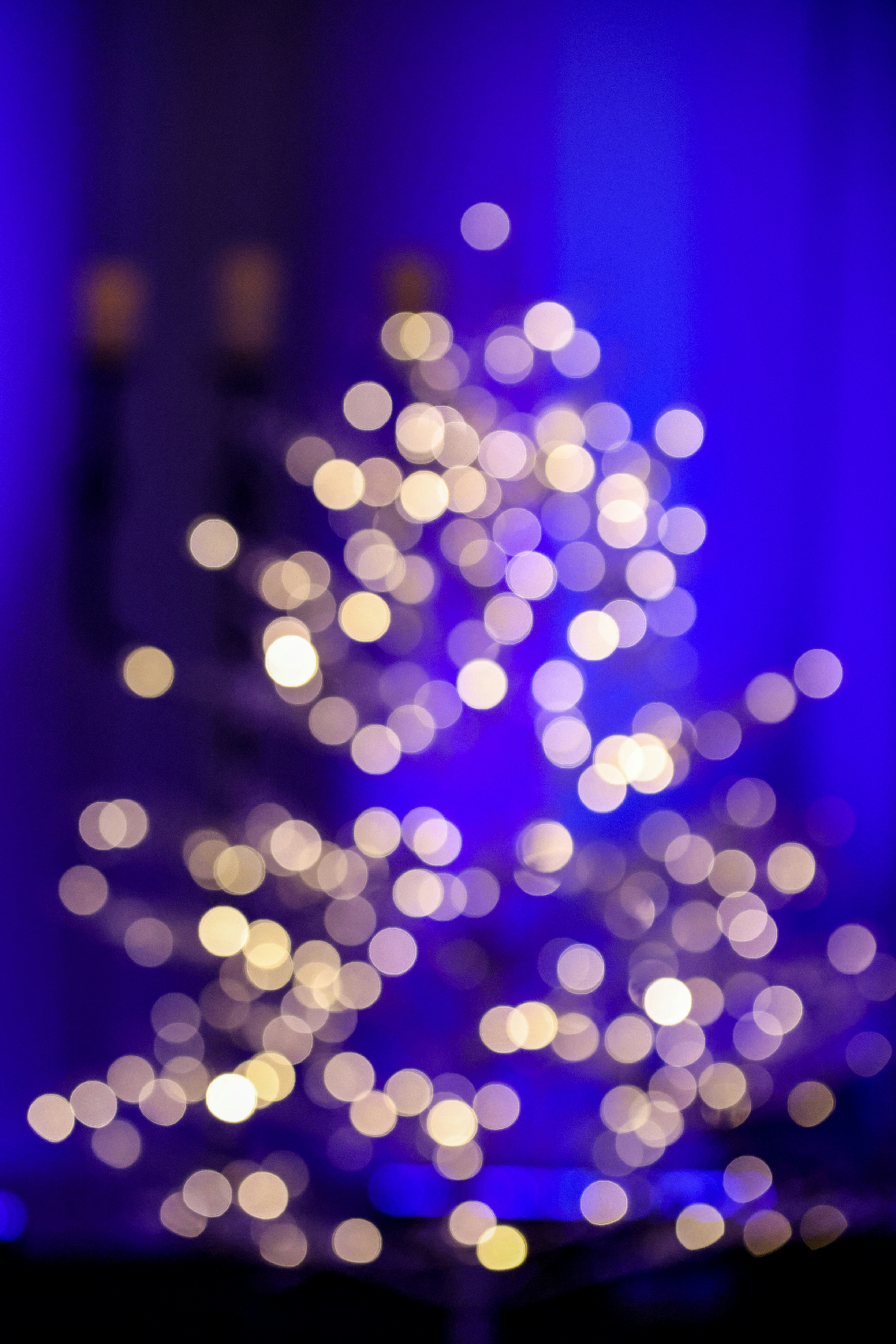 Photo by rocinante_11