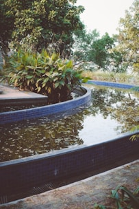 A tranquil backyard oasis with a water feature and colorful landscaping.