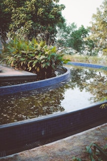 A serene outdoor setting features a winding water feature bordered by a blue-tiled edge. Lush green foliage and tall trees surround the water, reflecting on its surface. There's a mix of natural greenery and landscaped elements.