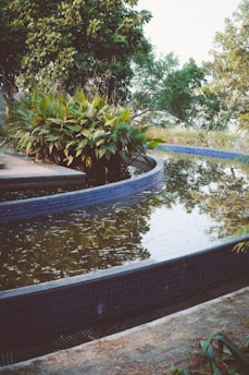 A serene outdoor setting features a winding water feature bordered by a blue-tiled edge. Lush green foliage and tall trees surround the water, reflecting on its surface. There's a mix of natural greenery and landscaped elements.