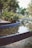 A serene landscape design featuring plants and water elements.