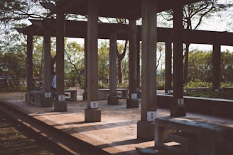 A wooden pavilion structure with multiple columns casting shadows on the ground. There are benches made of concrete blocks inside the pavilion. Surrounding the structure are trees with green foliage, indicating a natural, outdoor park setting. Sunlight filters through the trees, creating a serene atmosphere.