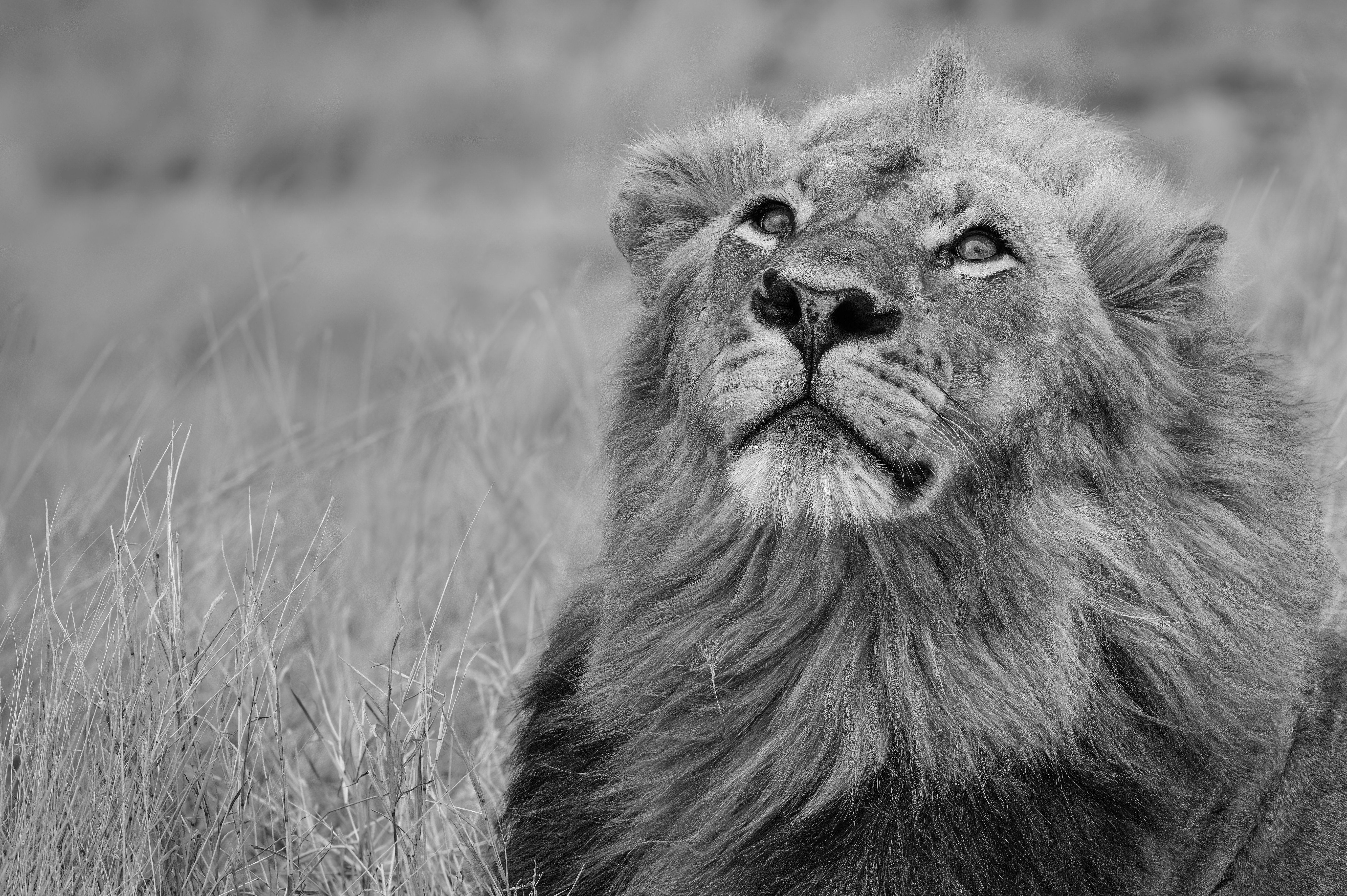 Photo by vincentvanzalinge