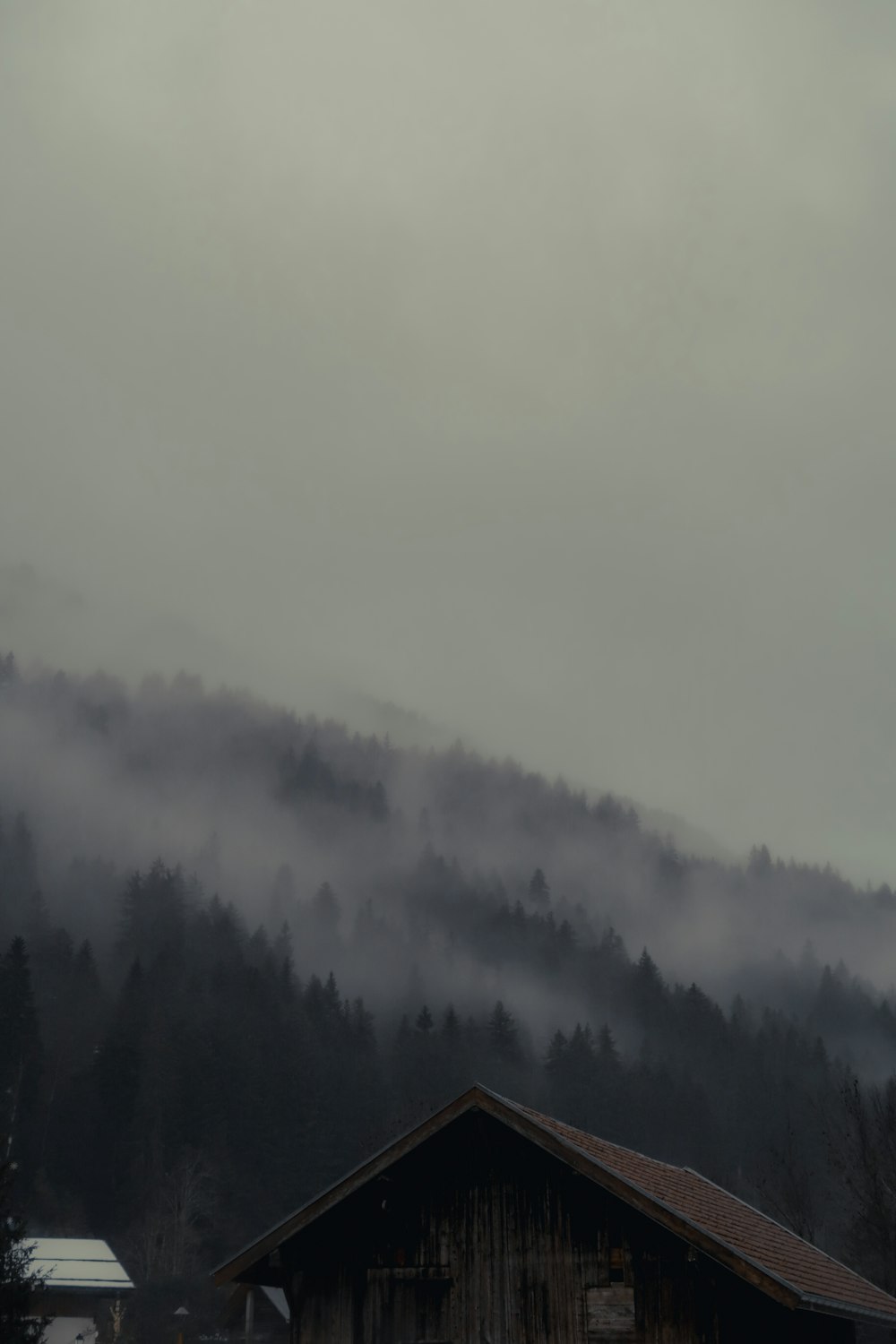 a foggy mountain covered in trees and a building