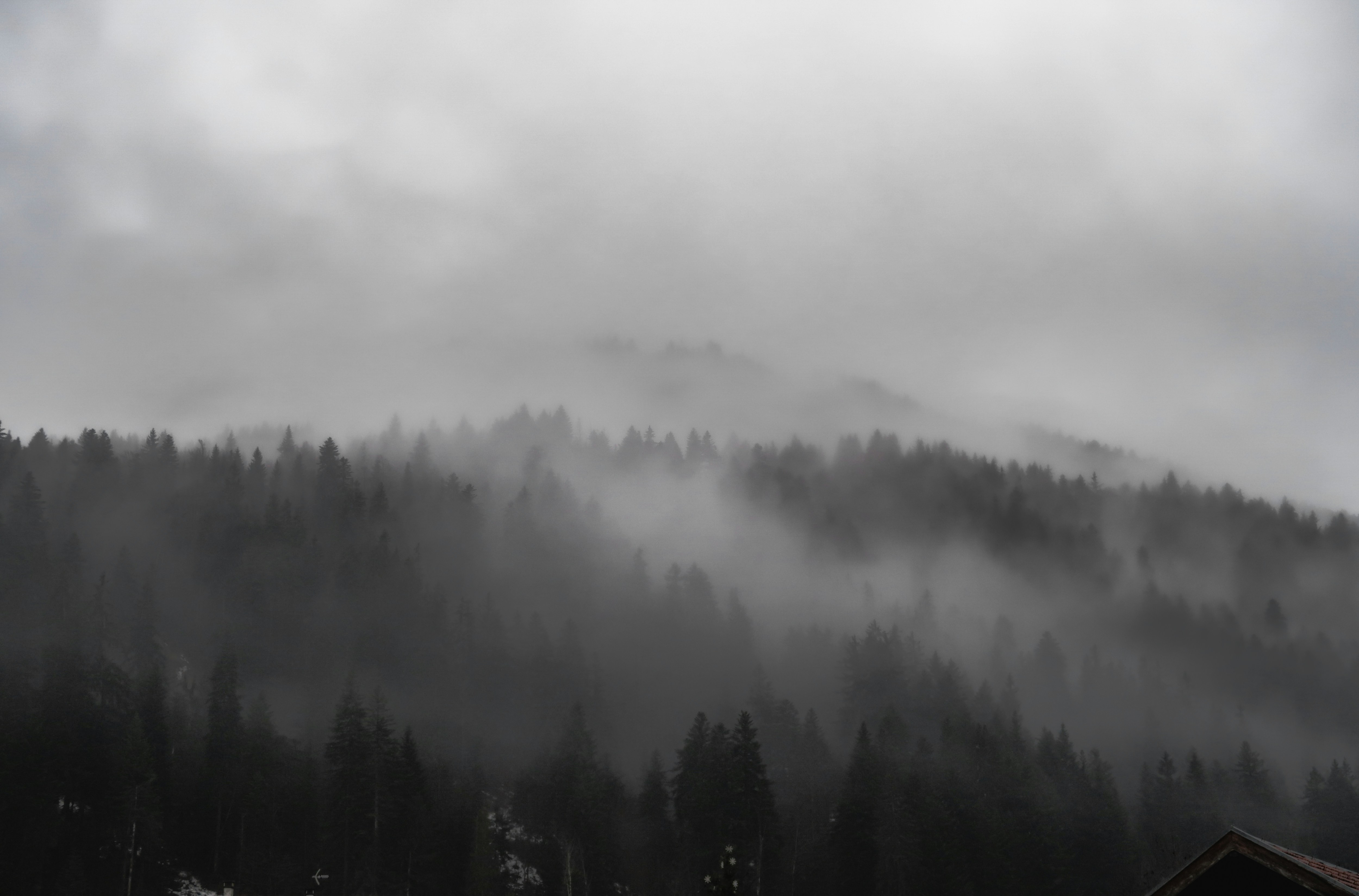 Photo by unepetitefleur