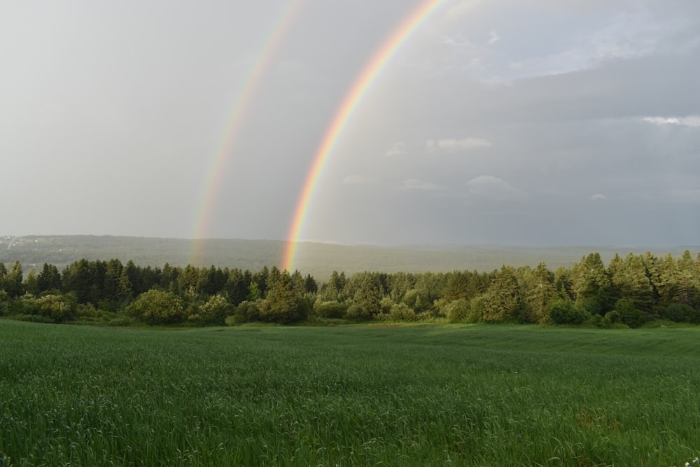 two rainbows in the sky over a green field