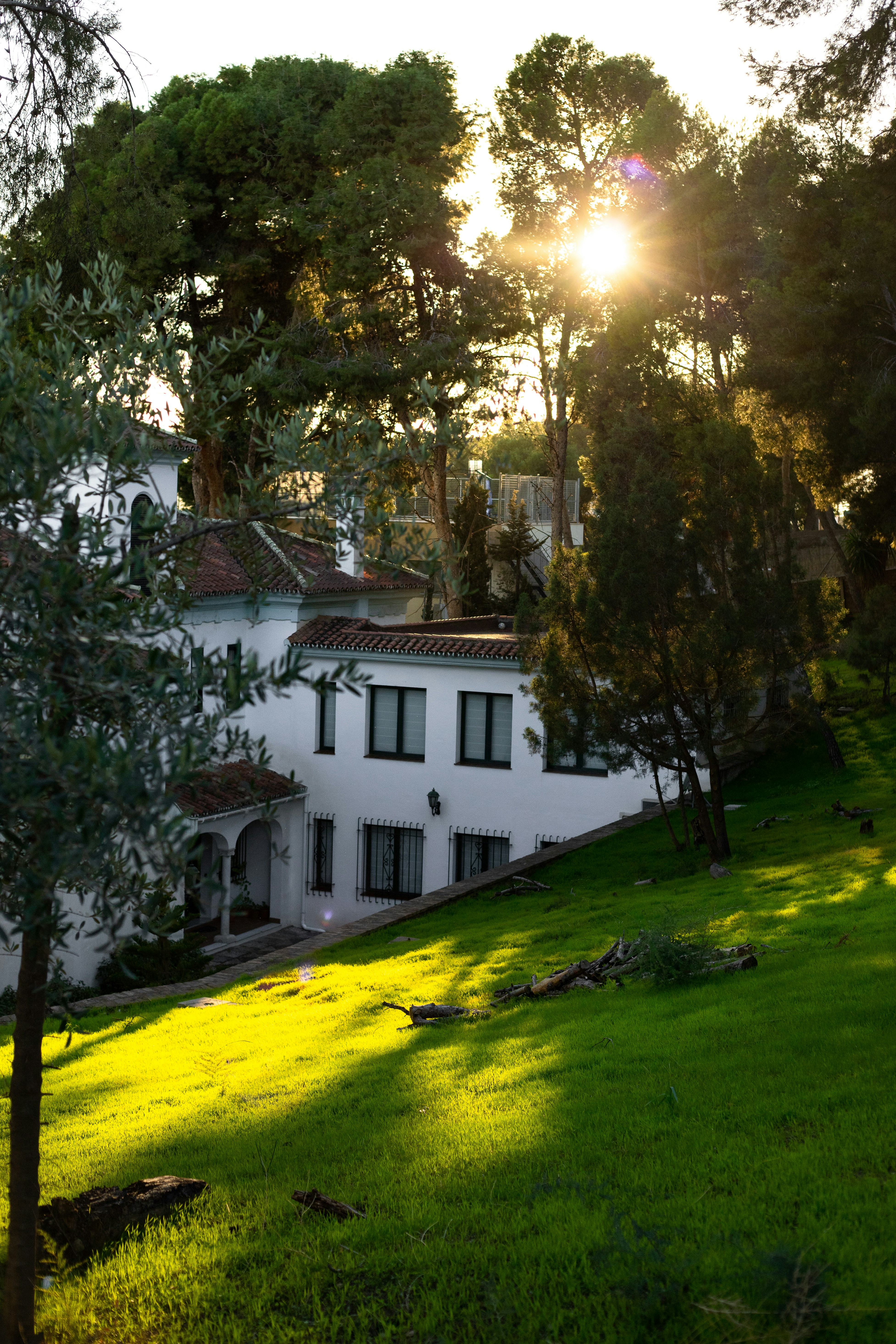 Photo by juliamatuzova