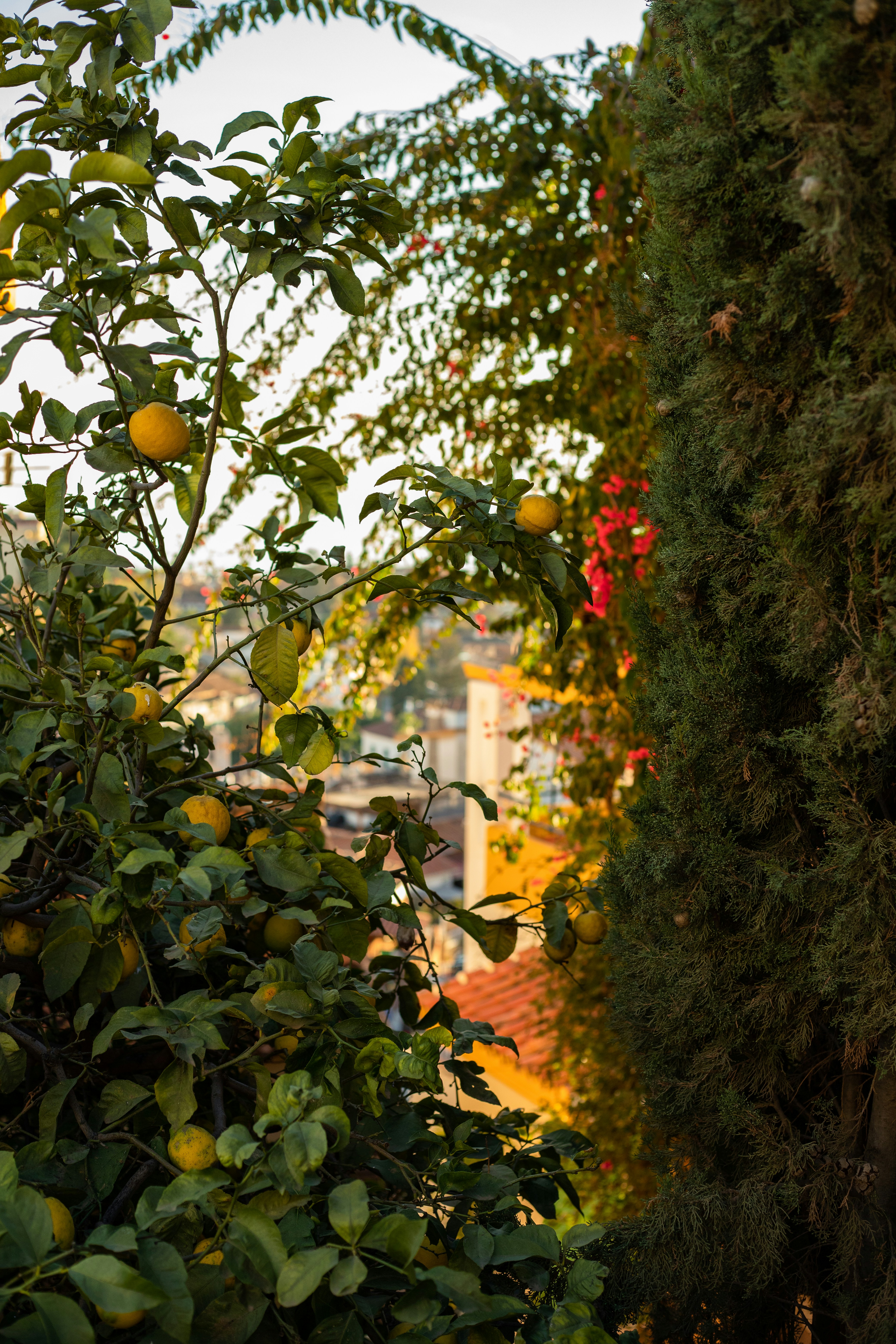 Photo by juliamatuzova