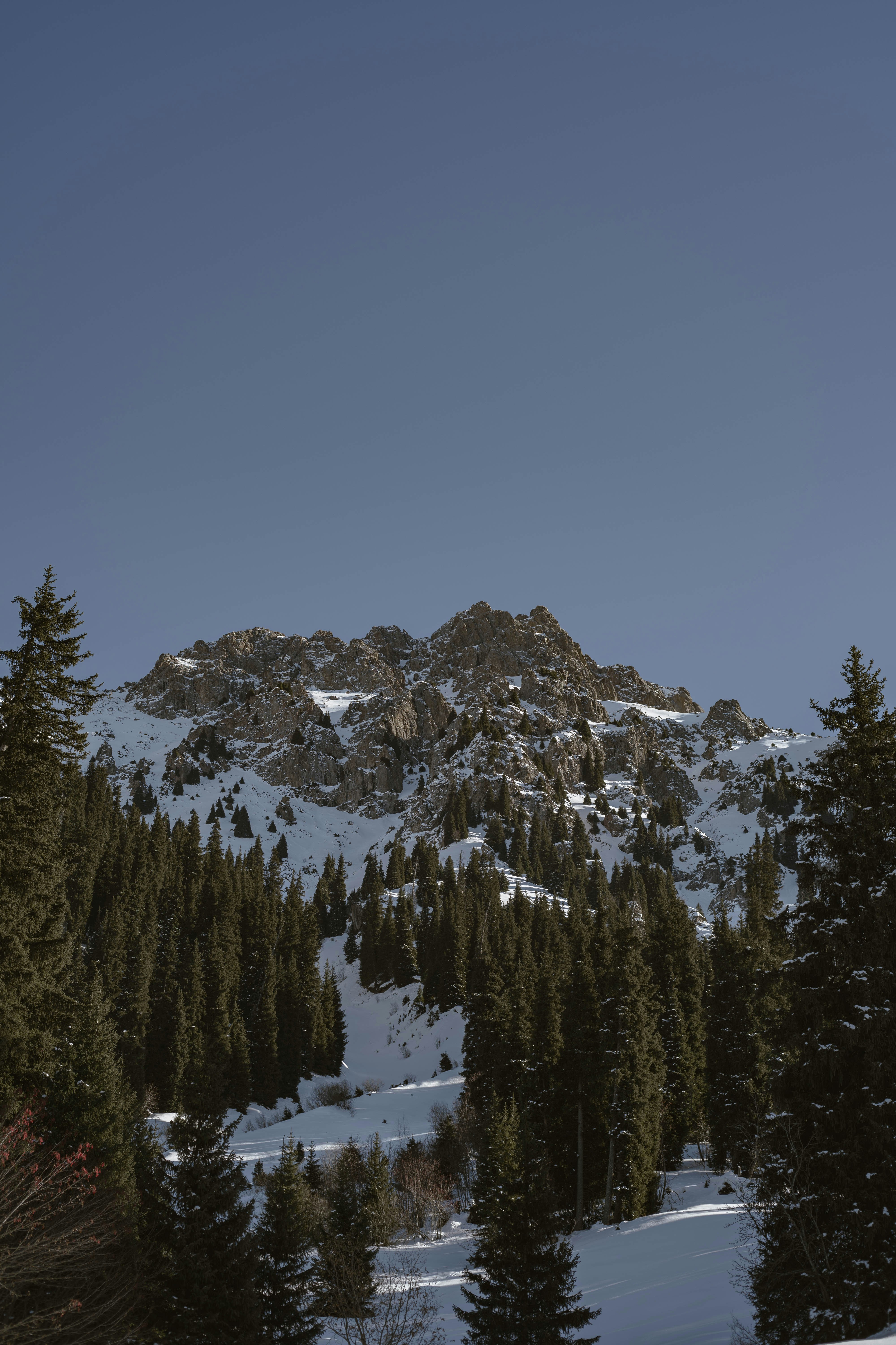 Photo by carpediem_ann