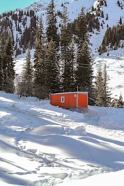 A modern prefab cottage with a burnt orange exterior, blanketed in fresh snow, surrounded by frosted pine trees.