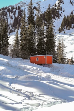 A modern prefab cottage with a burnt orange exterior, blanketed in fresh snow, surrounded by frosted pine trees.