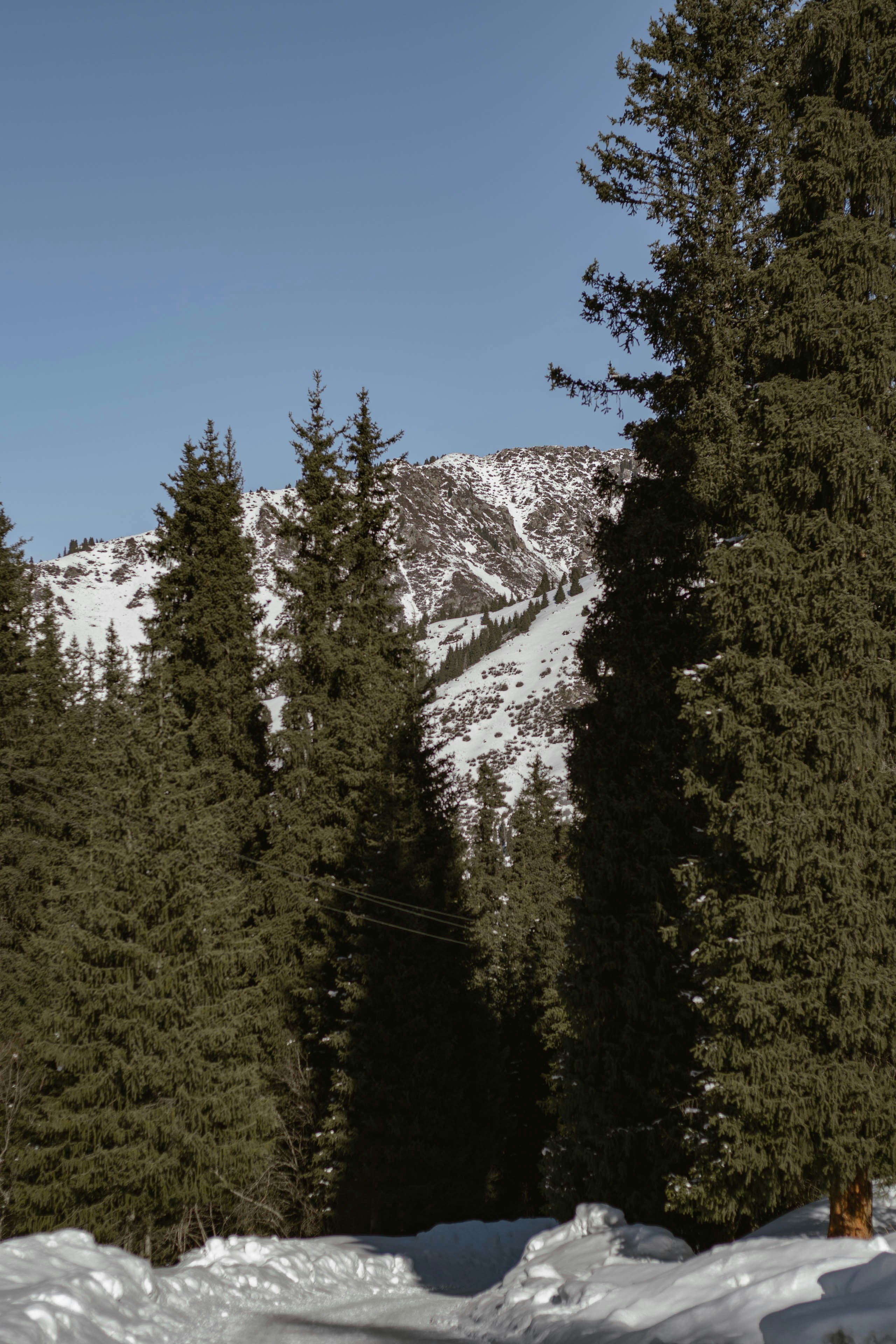 Photo by carpediem_ann