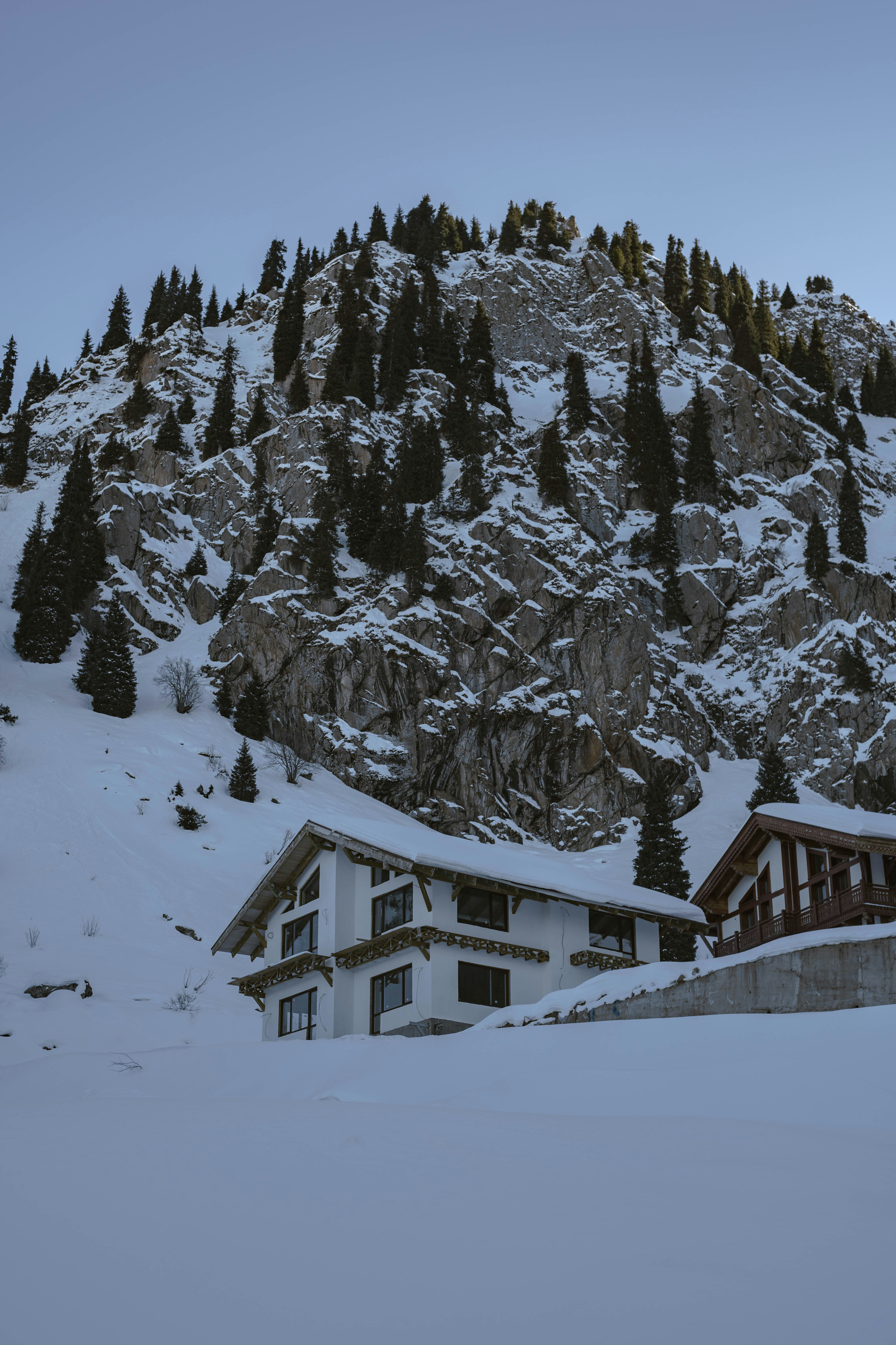 Photo by carpediem_ann