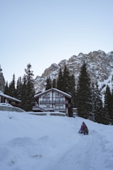 A snowy landscape features a wooden cabin with a steep, triangular roof nestled among tall evergreen trees. In the foreground, two people ride a snowmobile along a snow-covered path leading to the cabin. Towering, rugged mountains rise in the background, partially covered with snow.