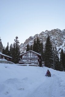 A snowmobile parked near a cozy cabin with snow-covered trees in the background.