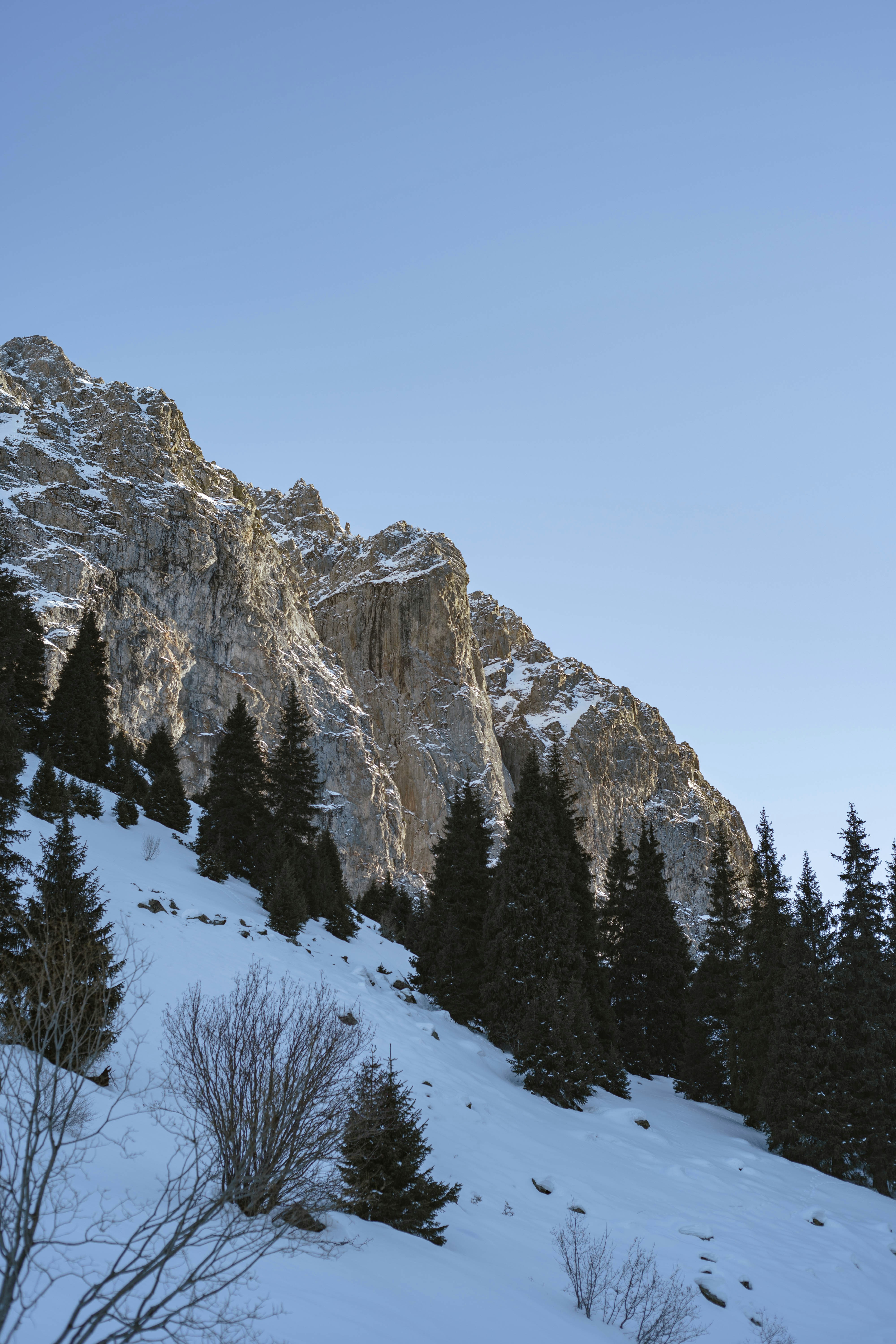 Photo by carpediem_ann