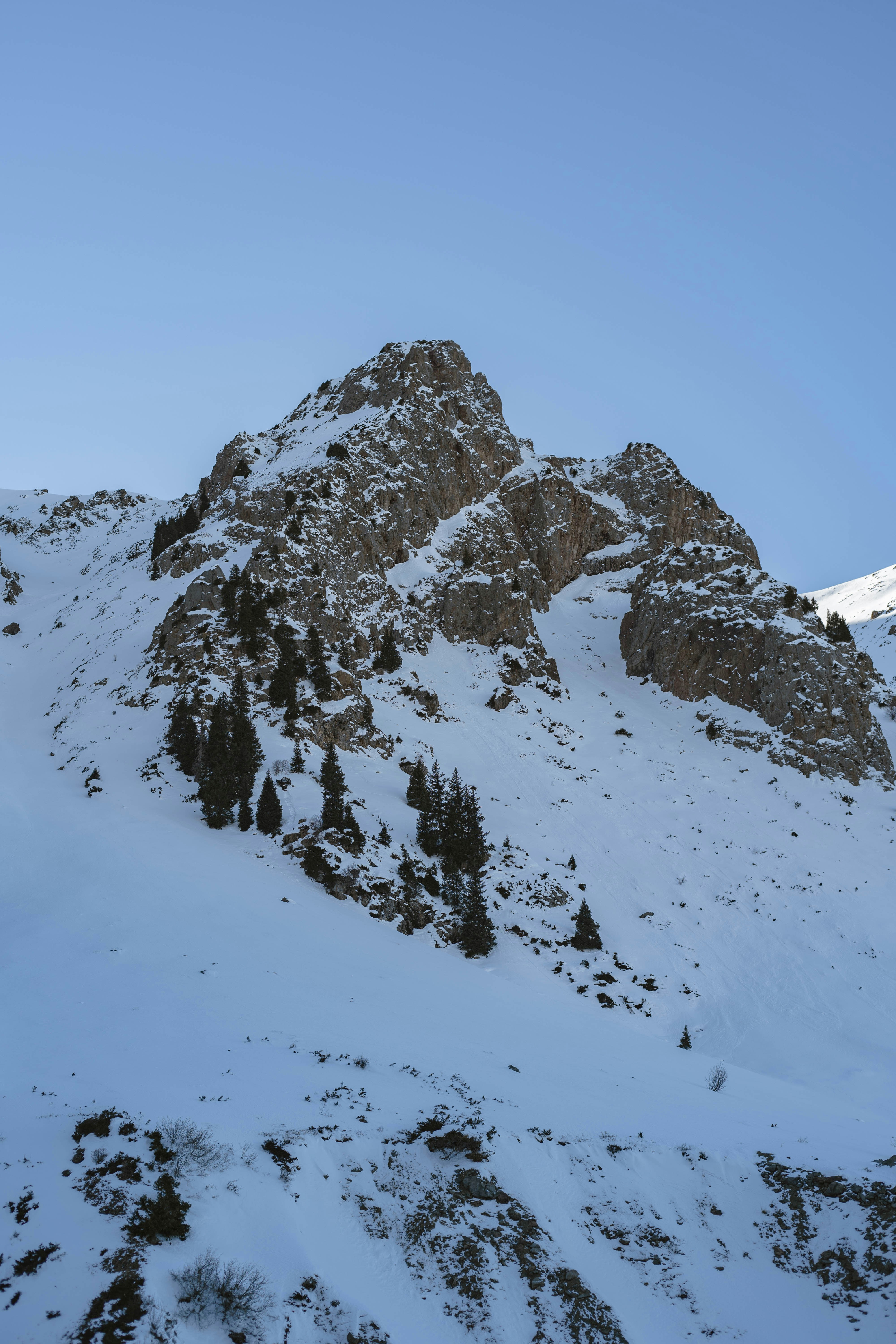 Photo by carpediem_ann