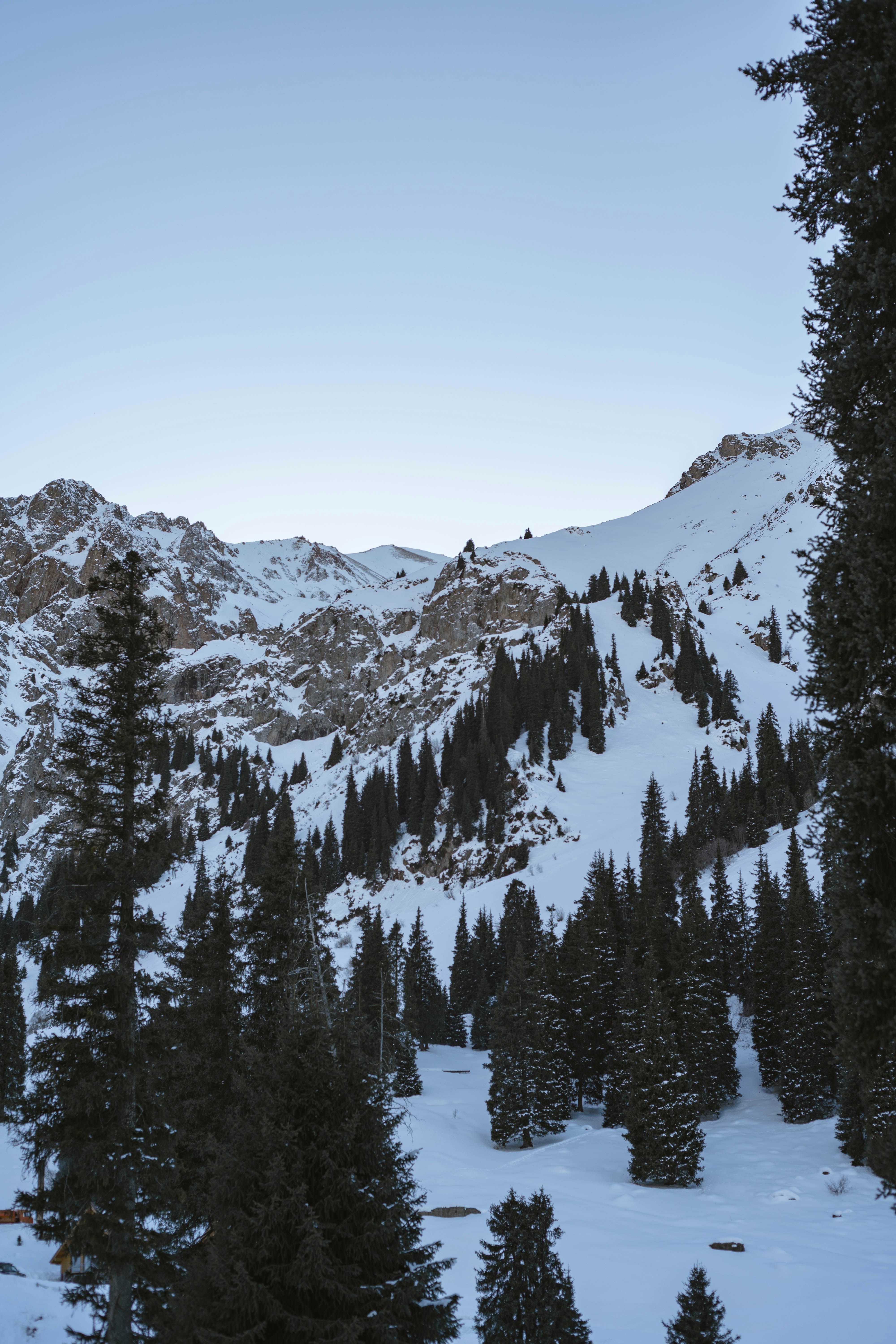 Photo by carpediem_ann