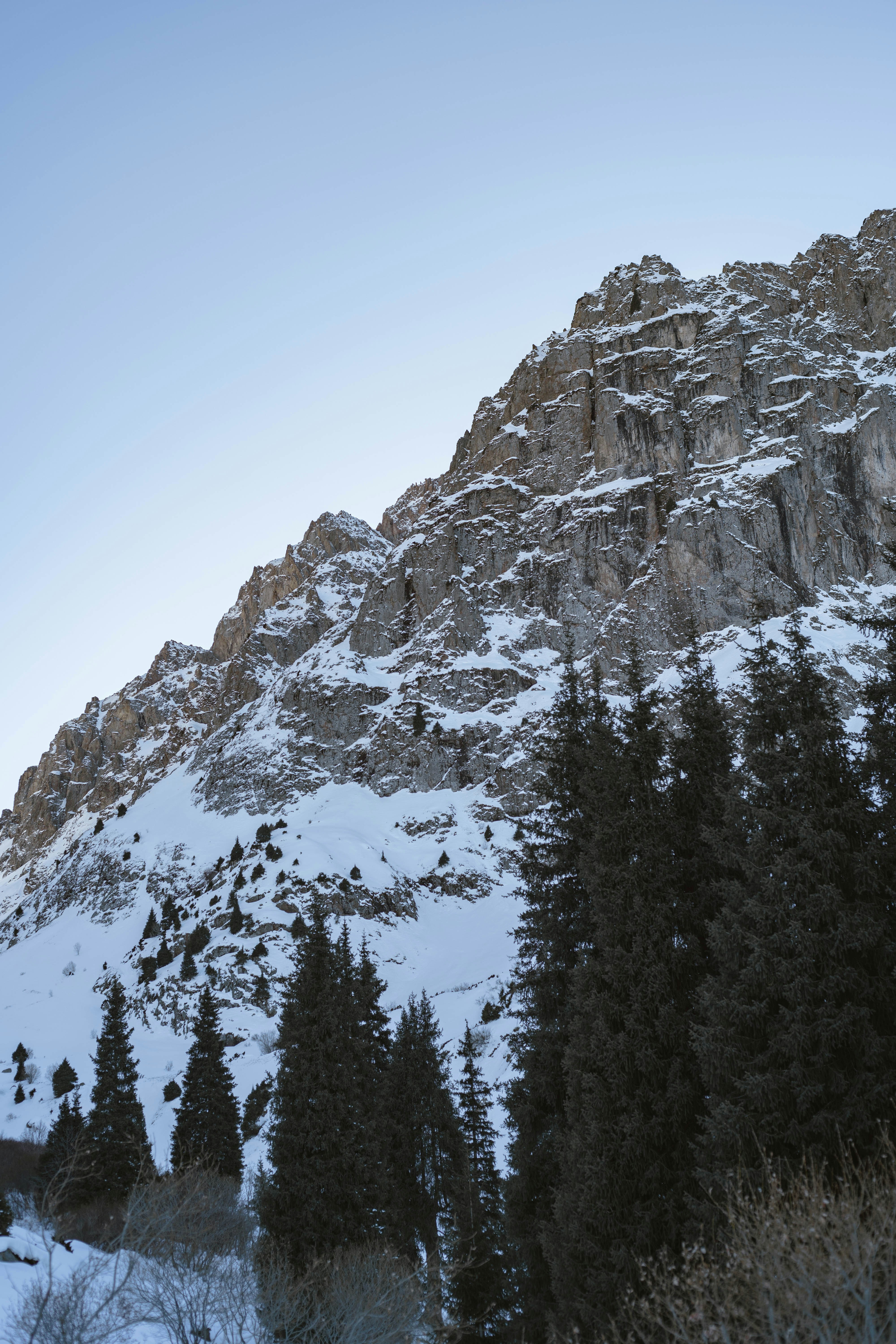 Photo by carpediem_ann