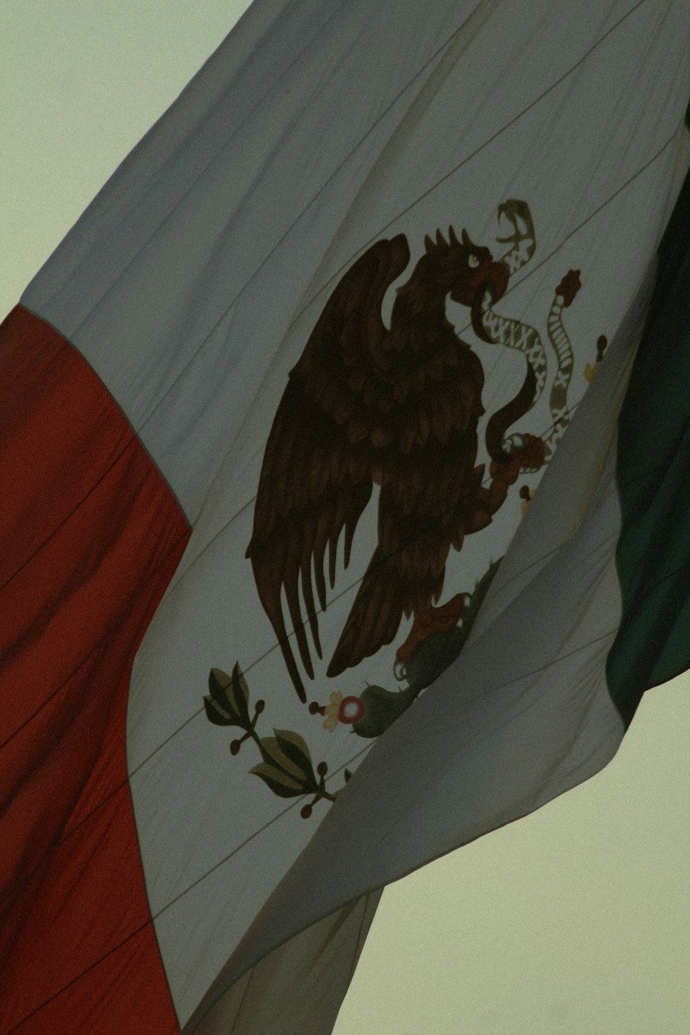 the flag of mexico is waving in the wind