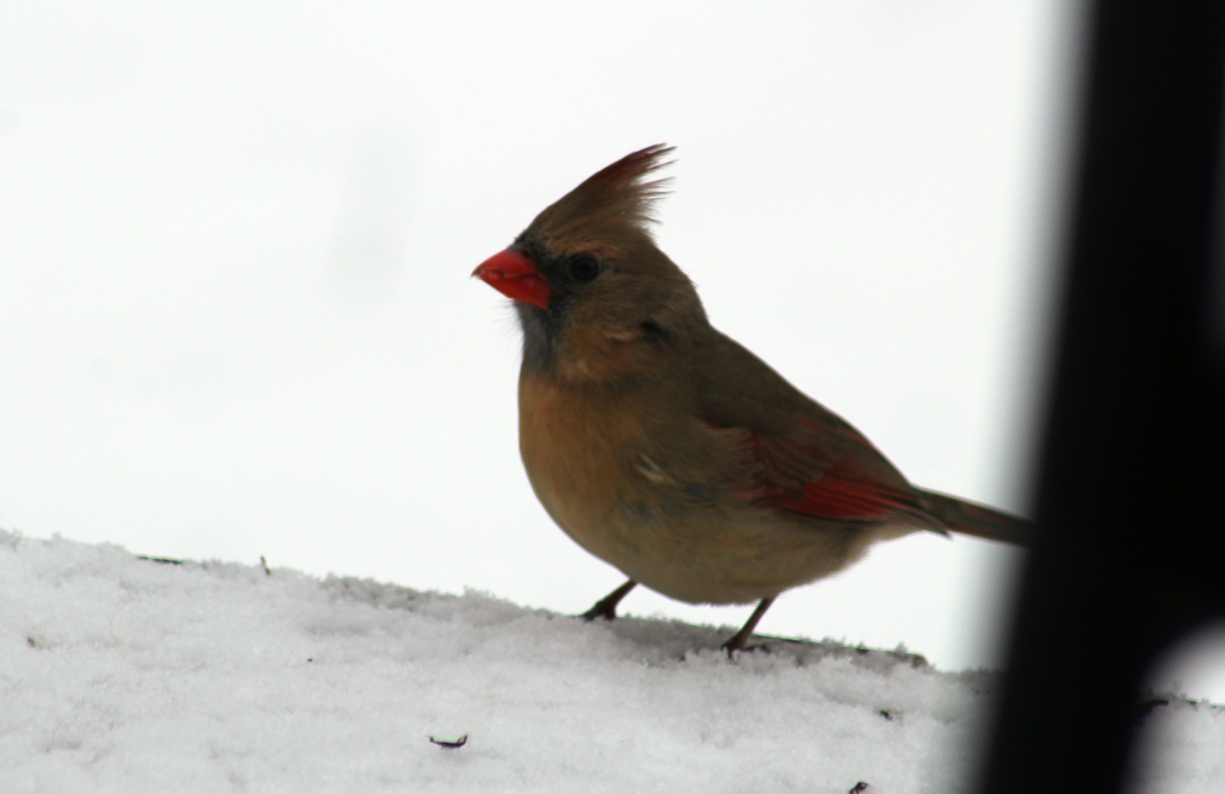 Photo by pythia_of_delphi