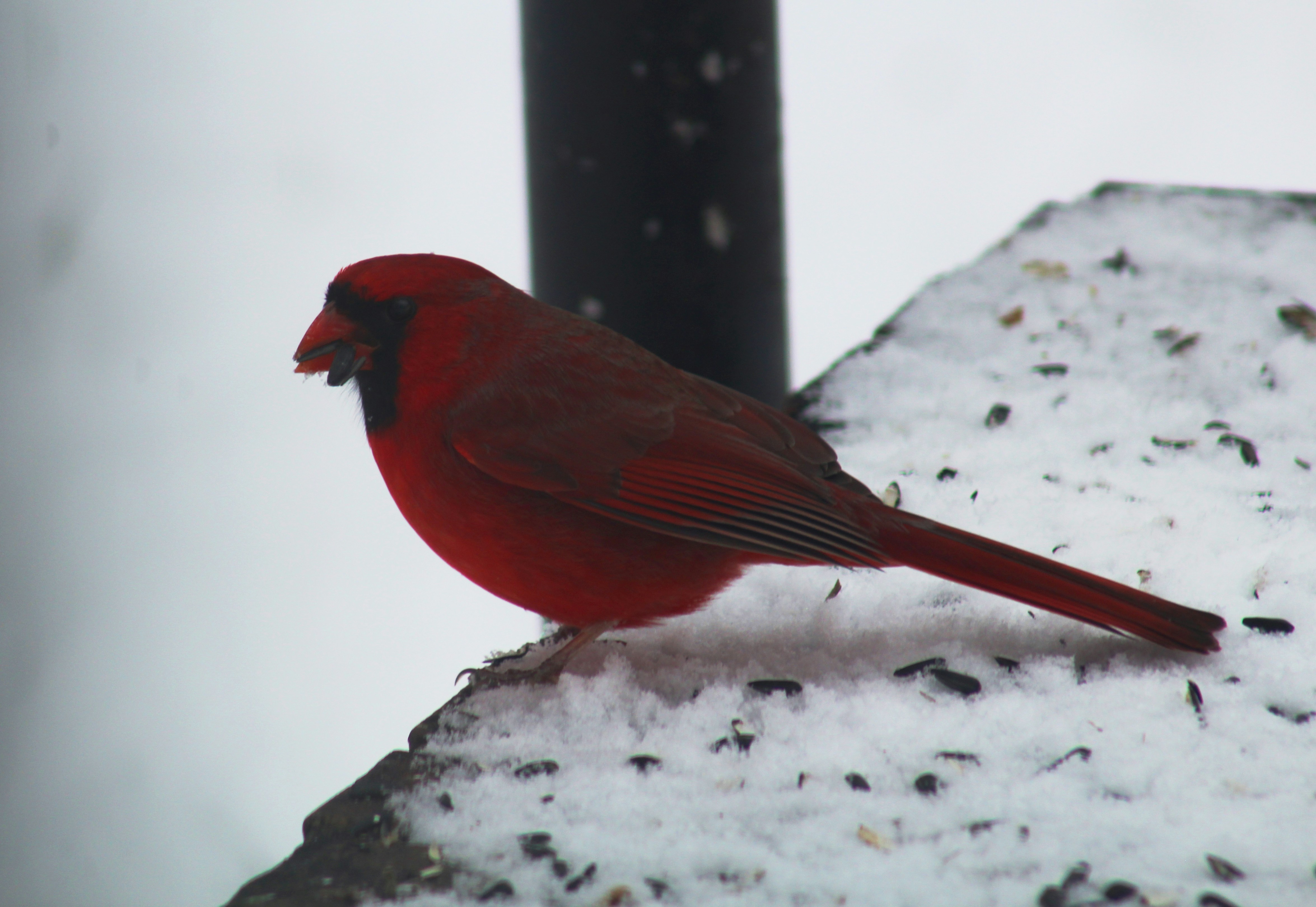 Photo by pythia_of_delphi