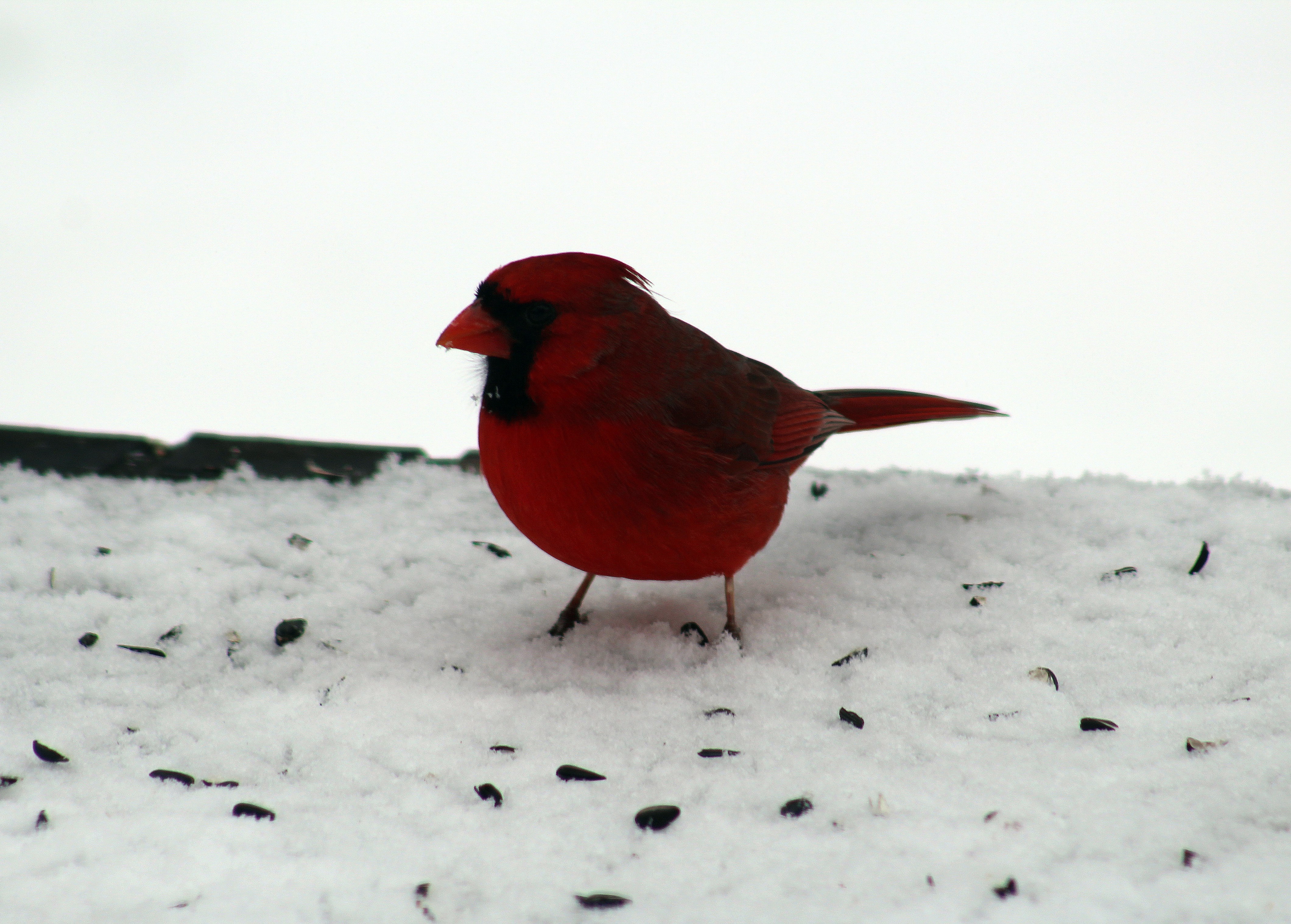 Photo by pythia_of_delphi