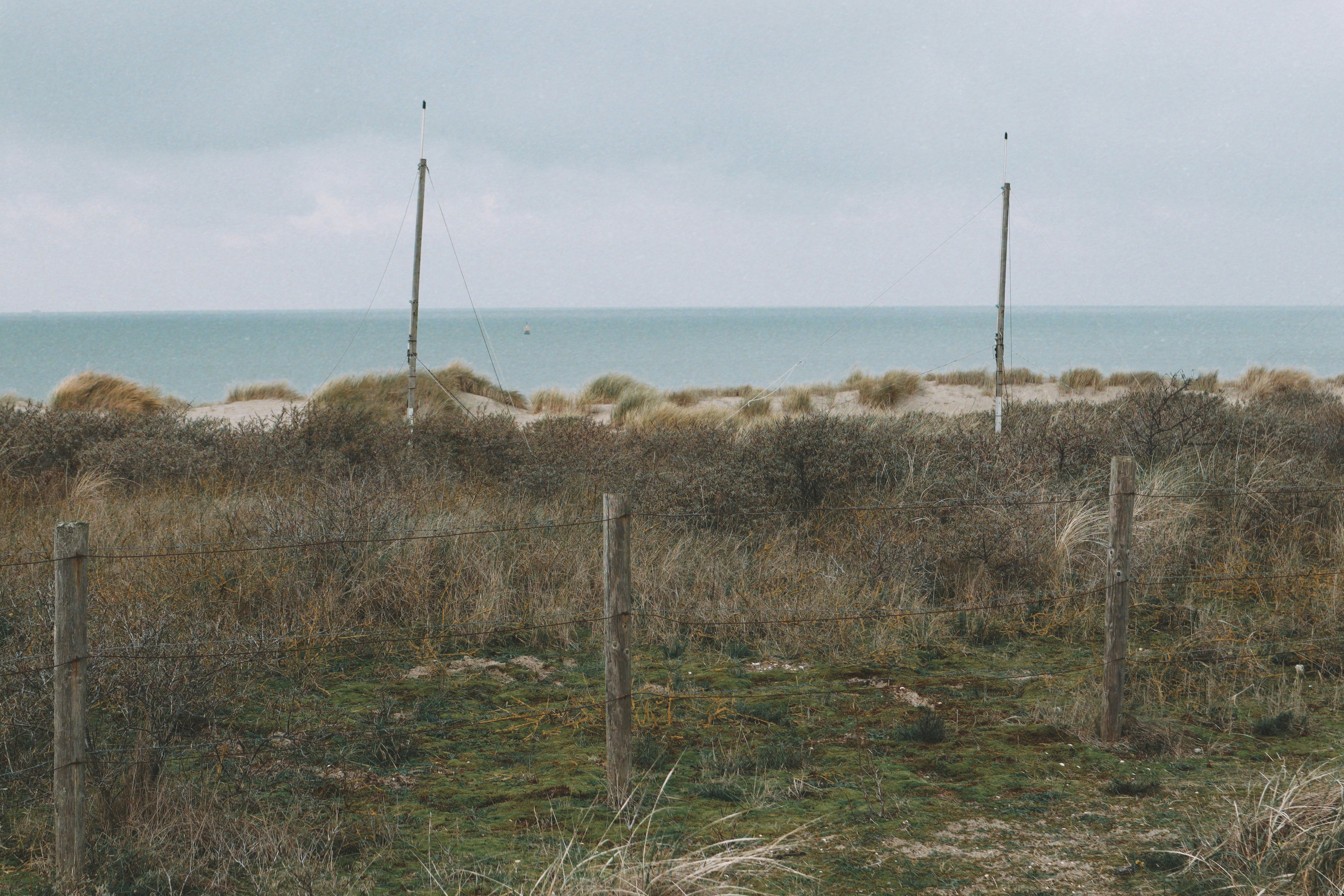 Photo by avechenri