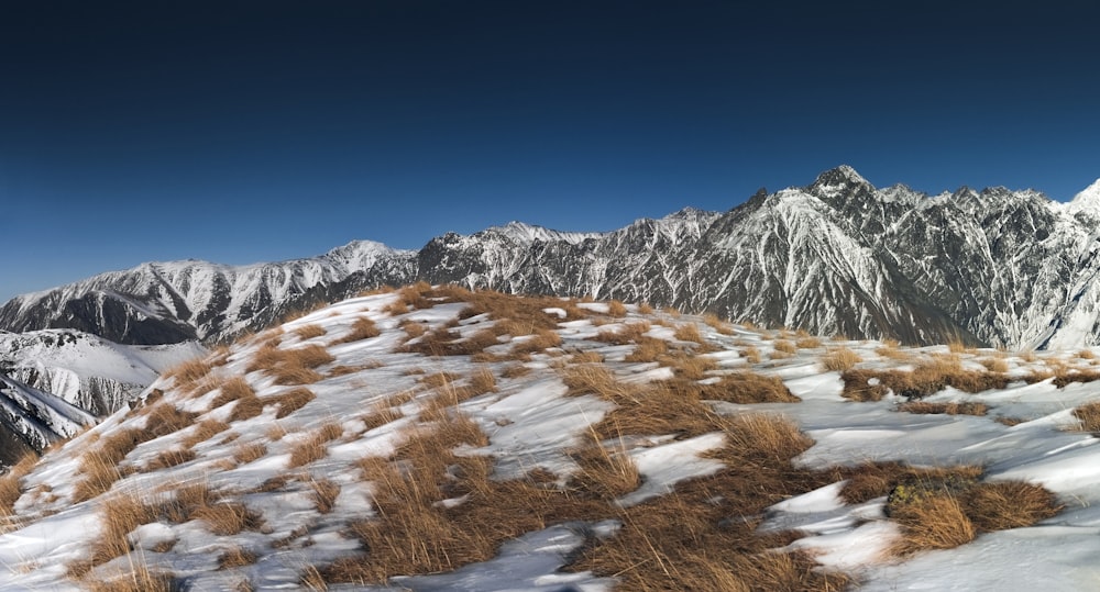 a view of a mountain range covered in snow