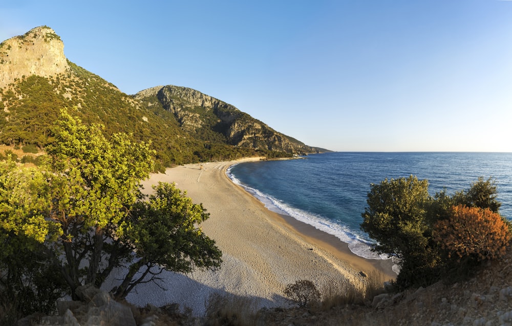 a view of a beach with a mountain in the background