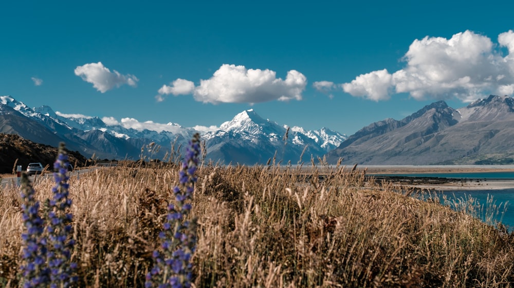 a view of a mountain range with a lake in the foreground