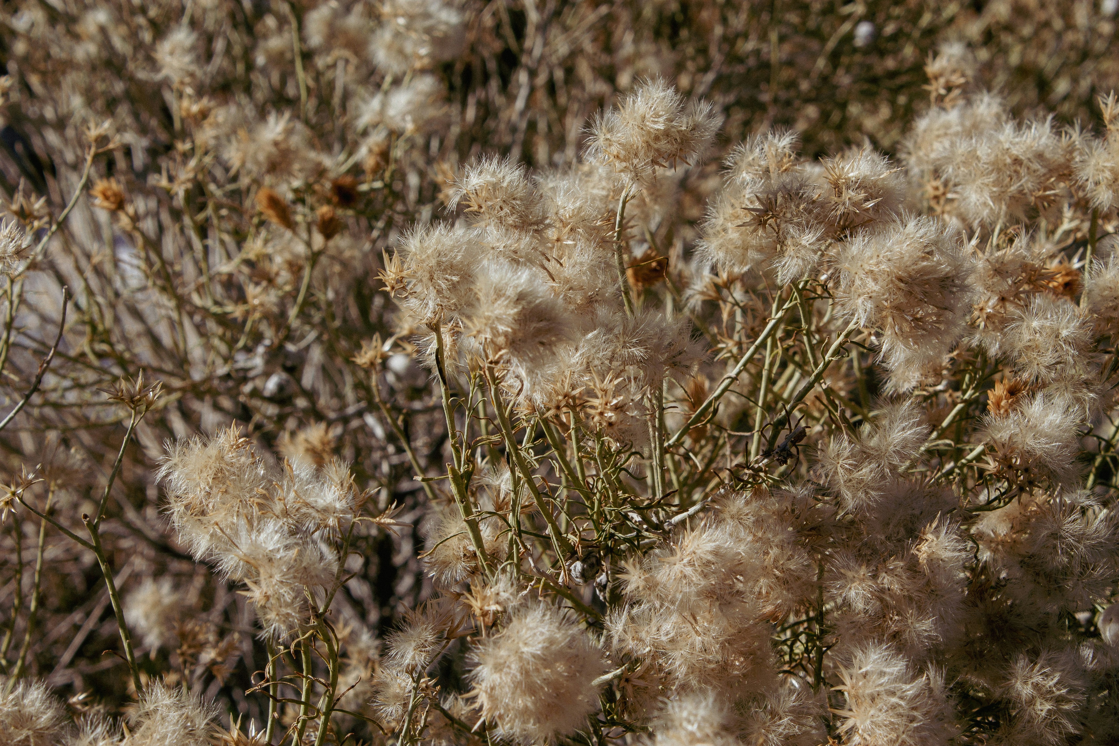 Photo by blackporsche0