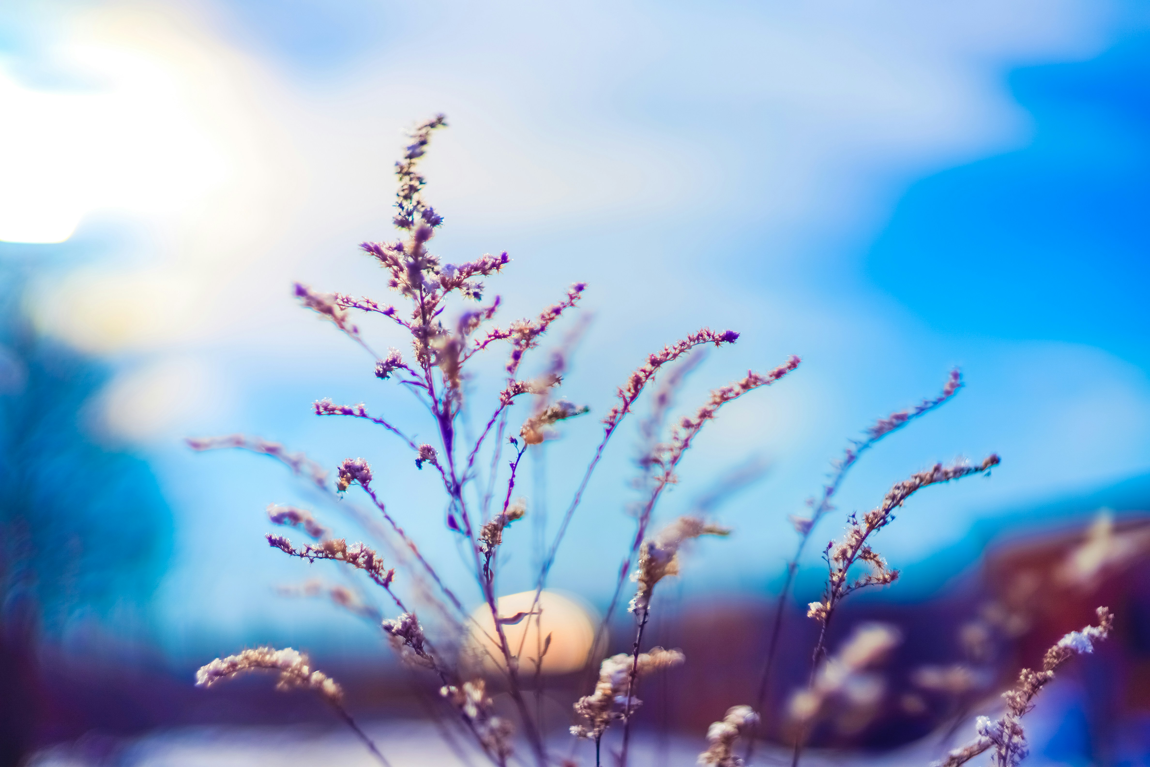 Photo by raimondklavins