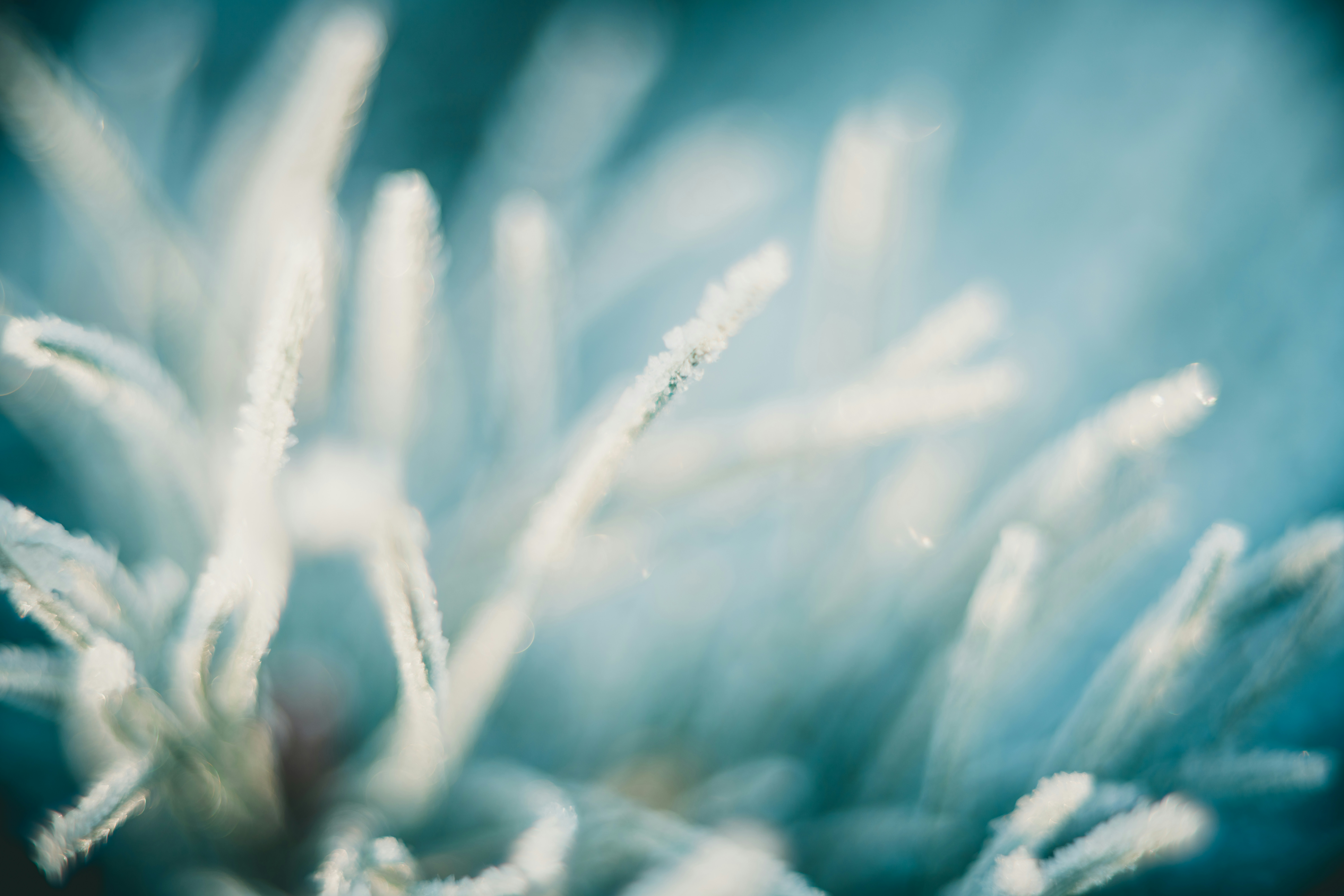 Photo by raimondklavins