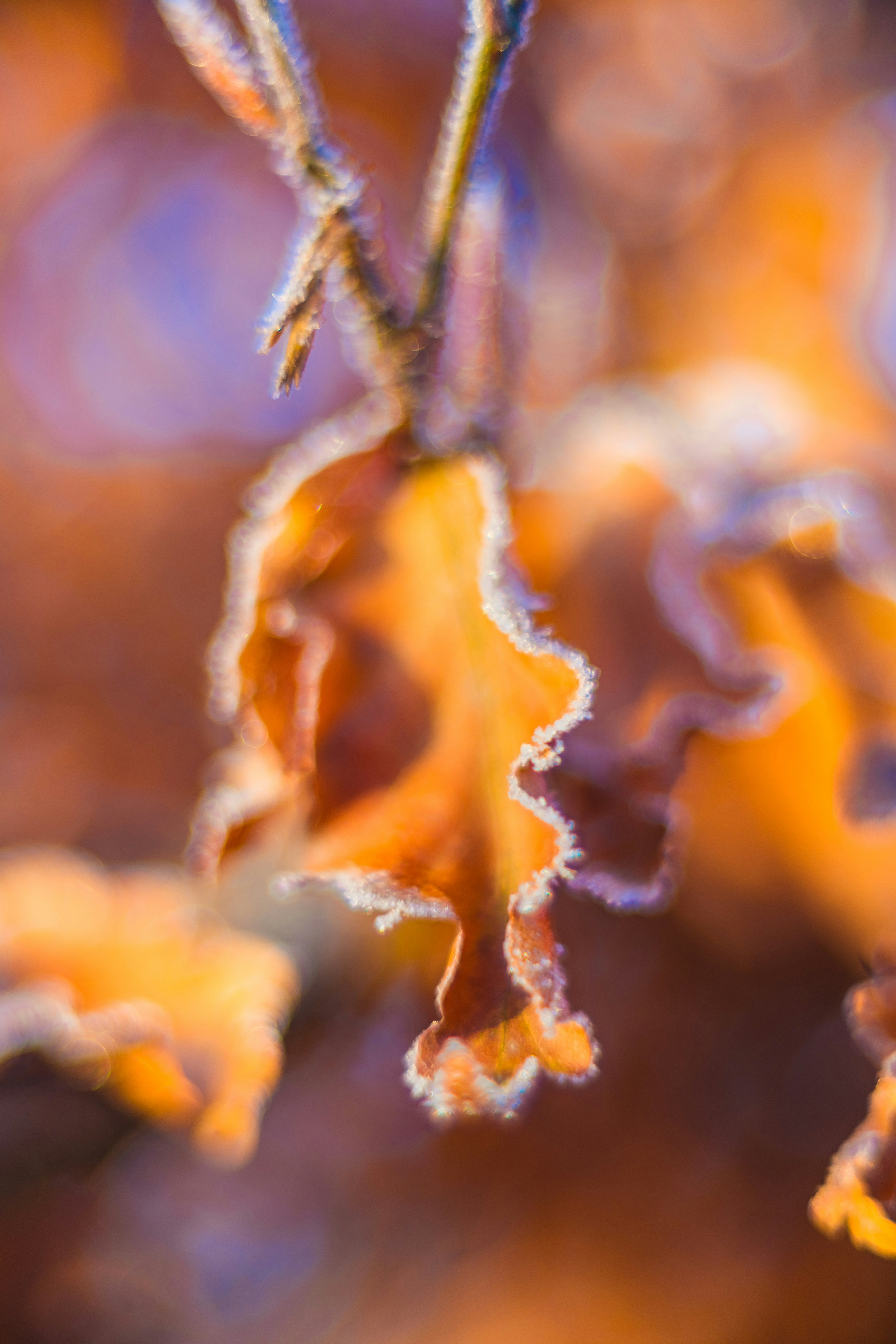 Photo by raimondklavins