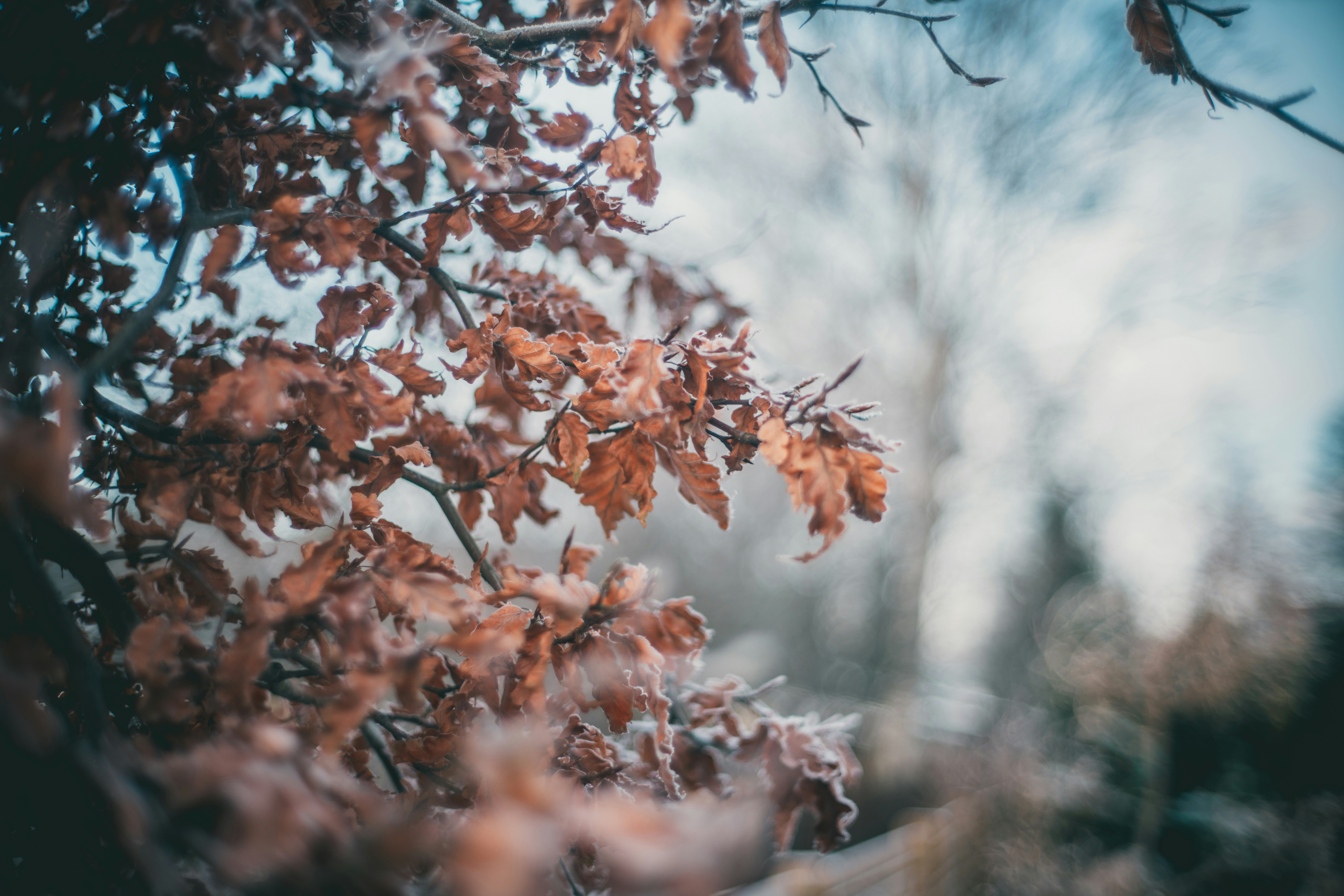 Photo by raimondklavins