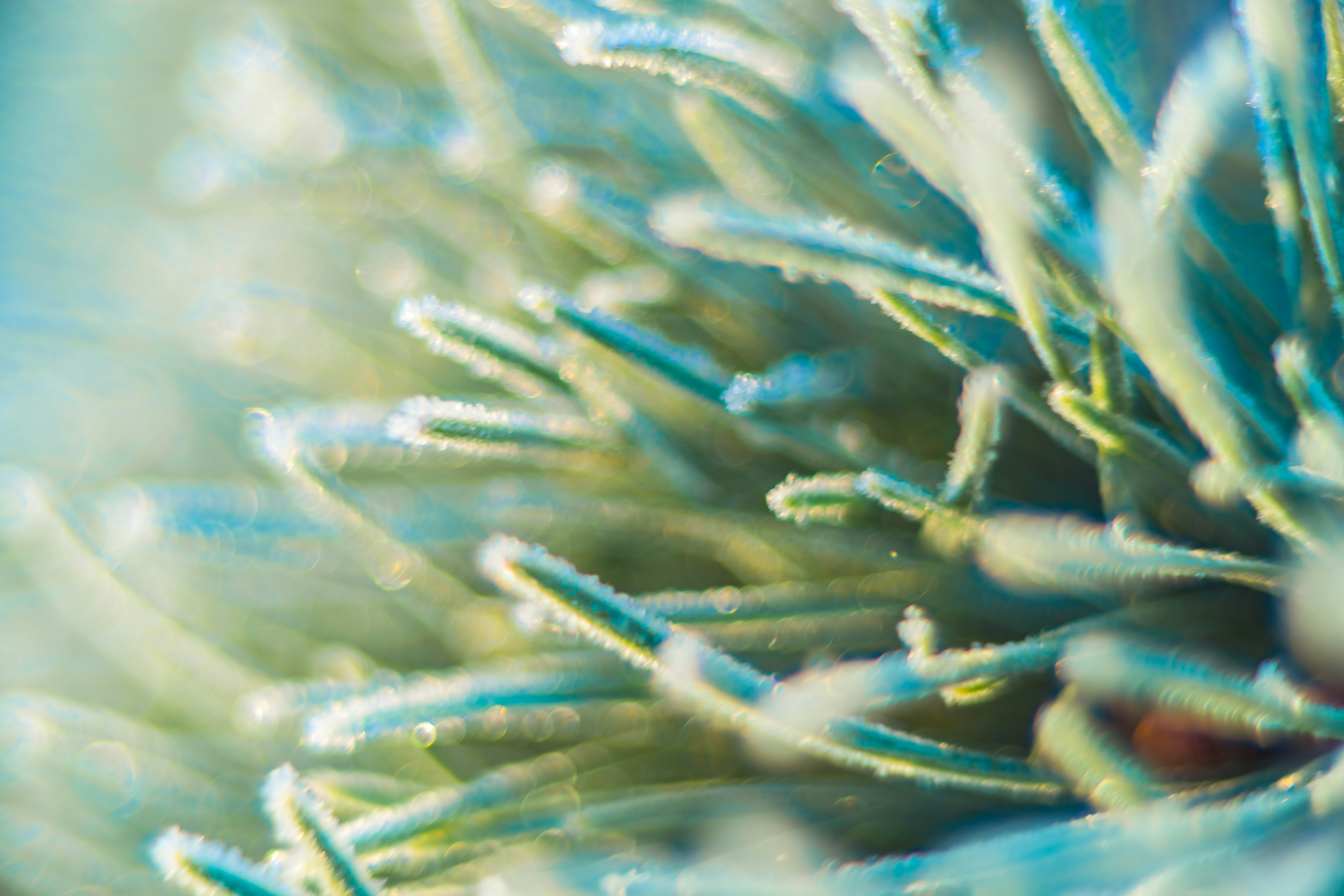 Photo by raimondklavins