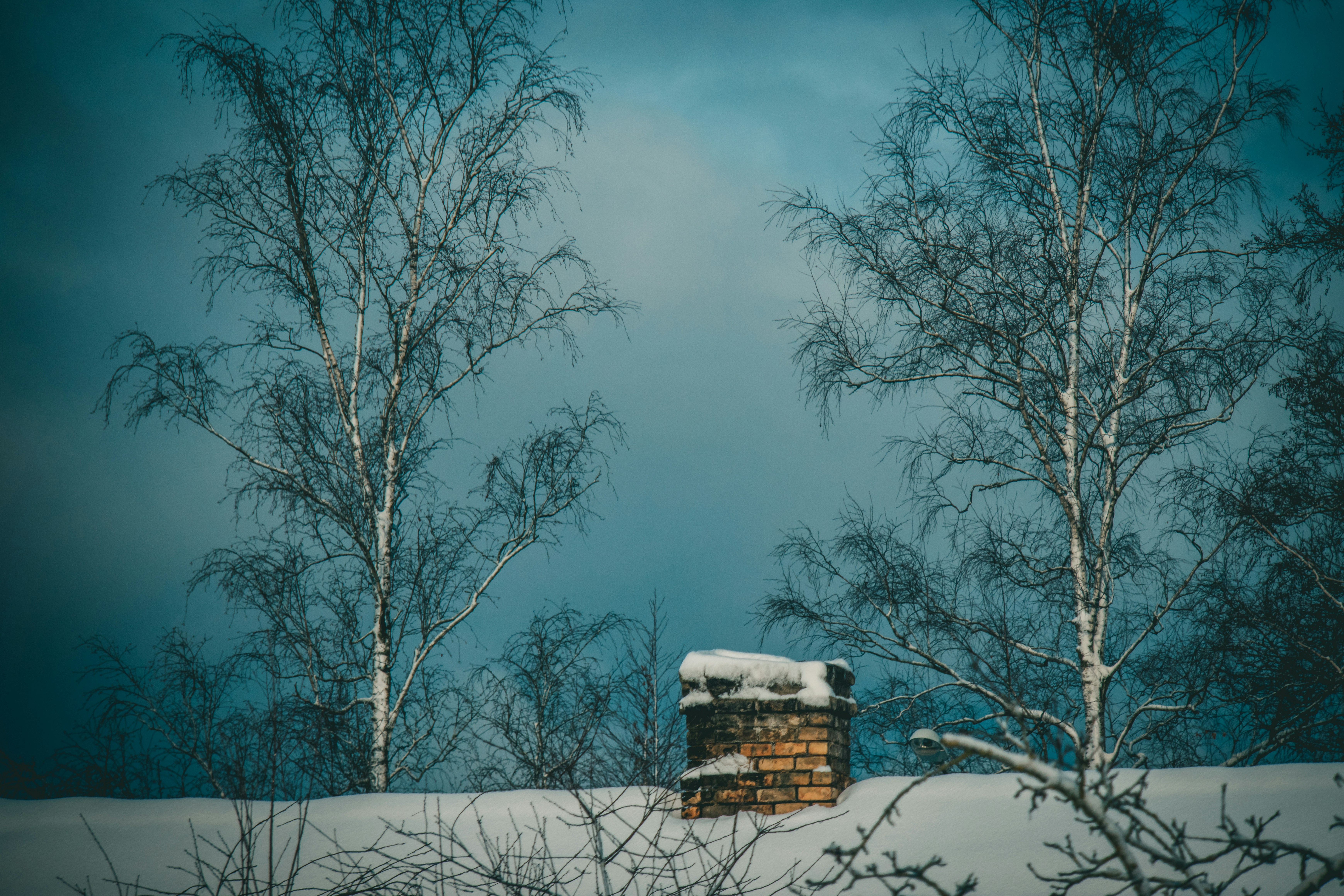 Photo by raimondklavins