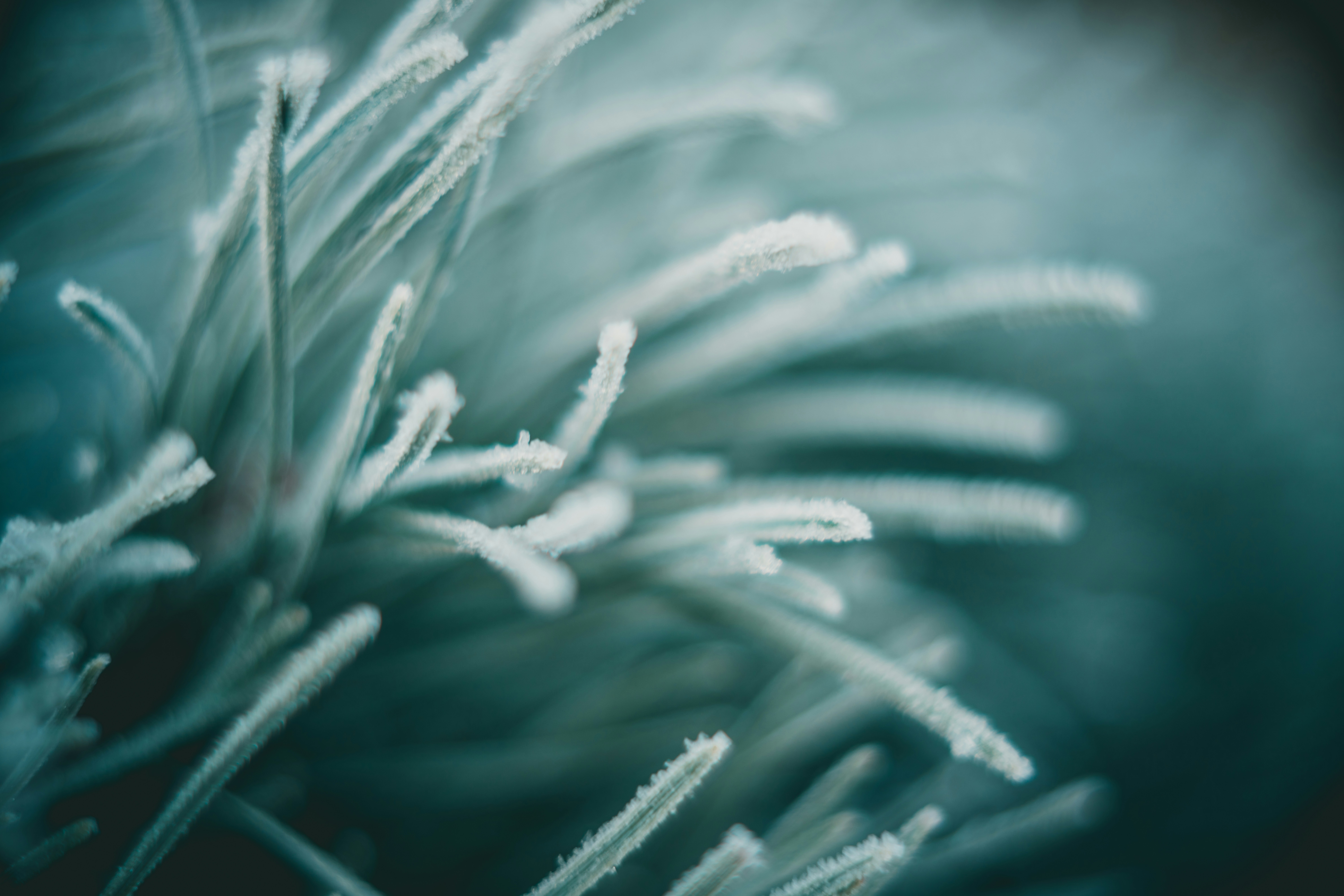 Photo by raimondklavins