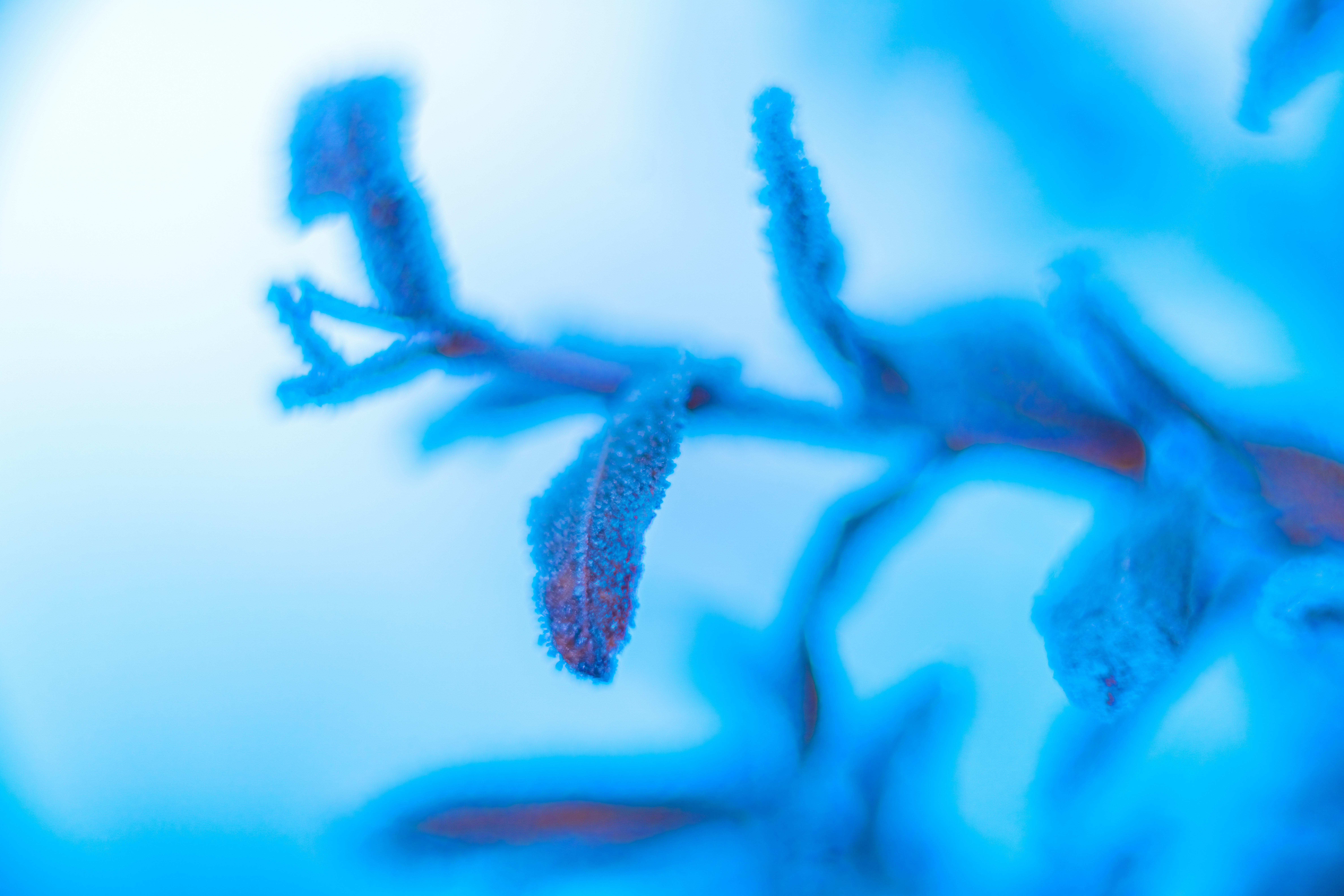 Photo by raimondklavins