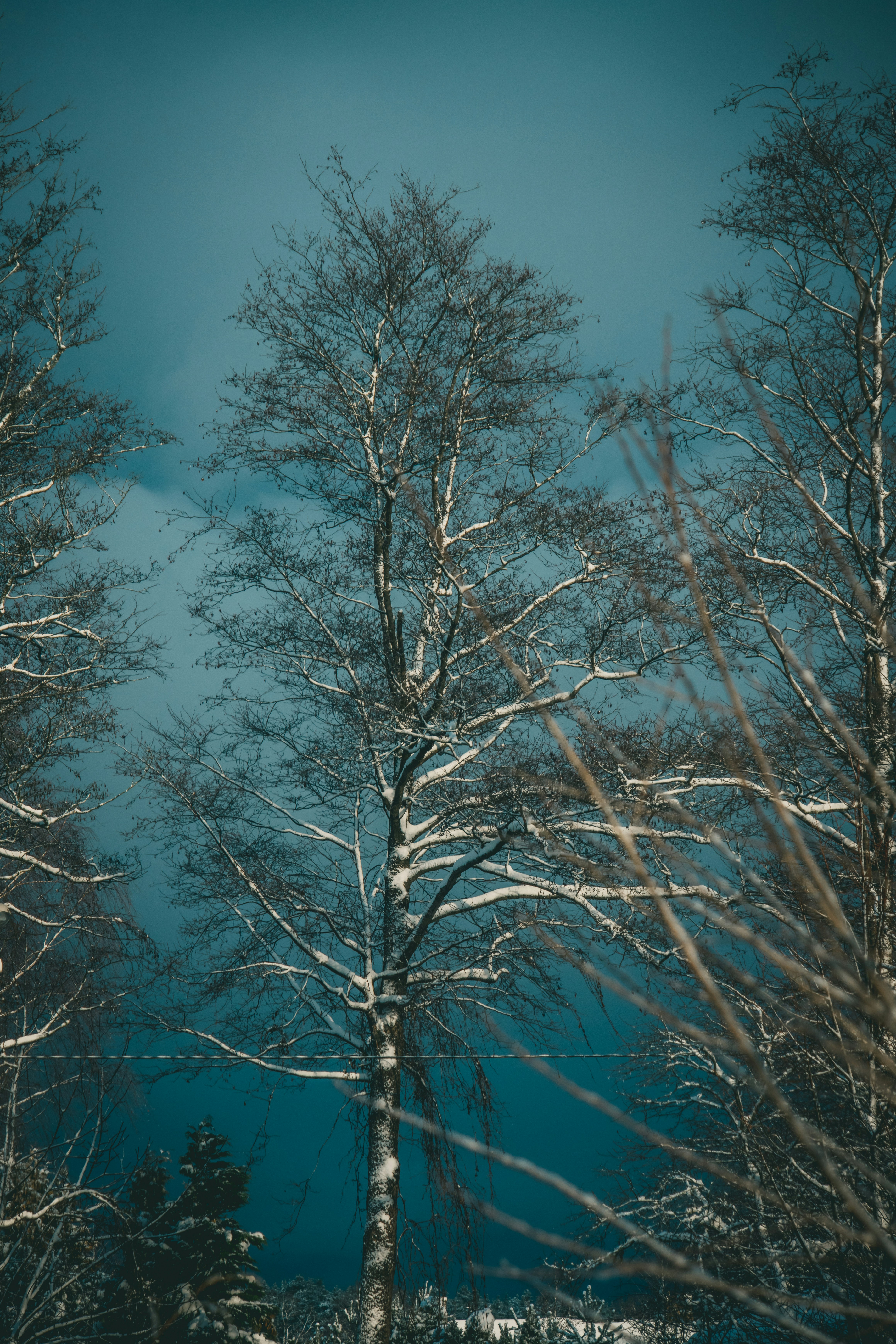 Photo by raimondklavins