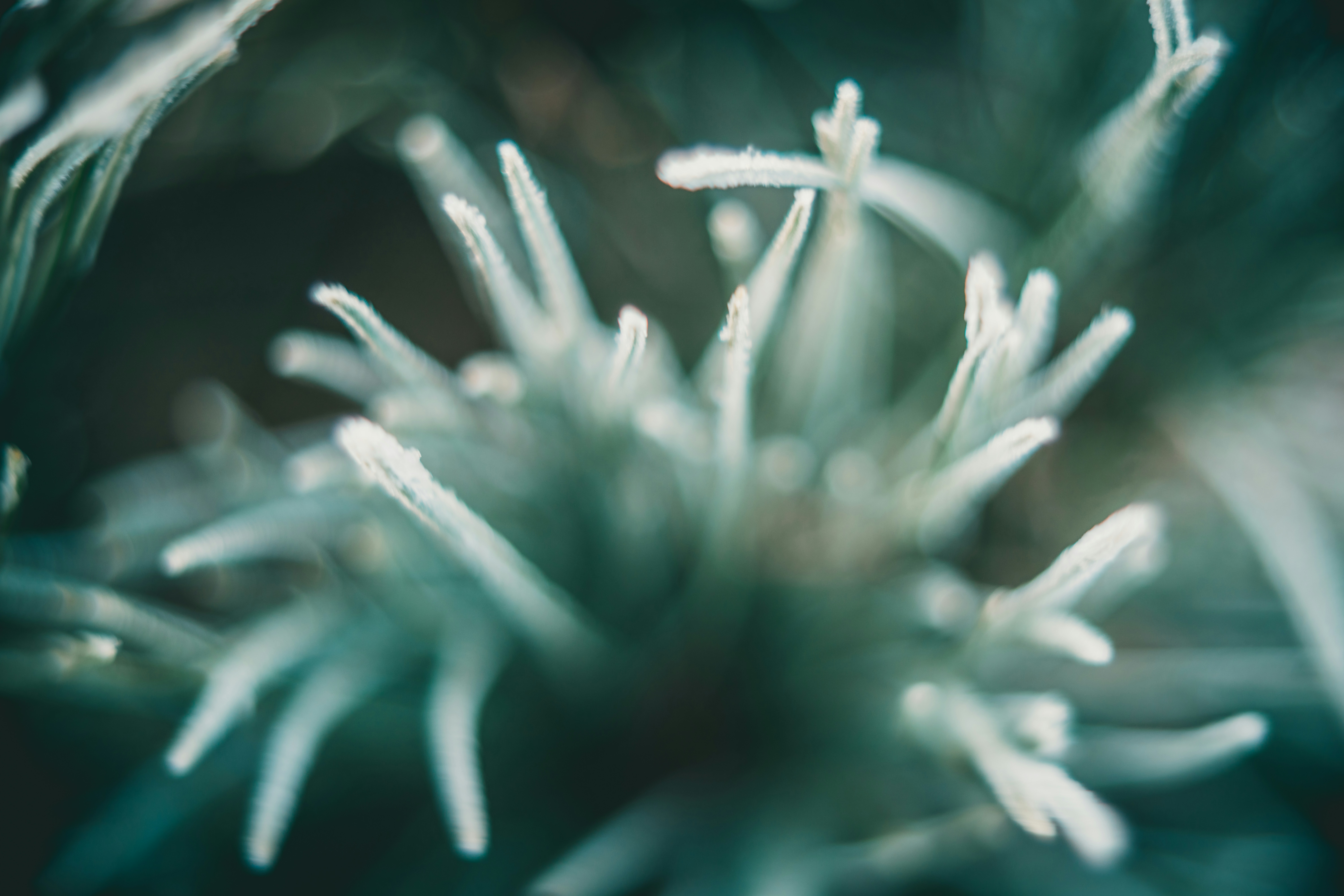 Photo by raimondklavins