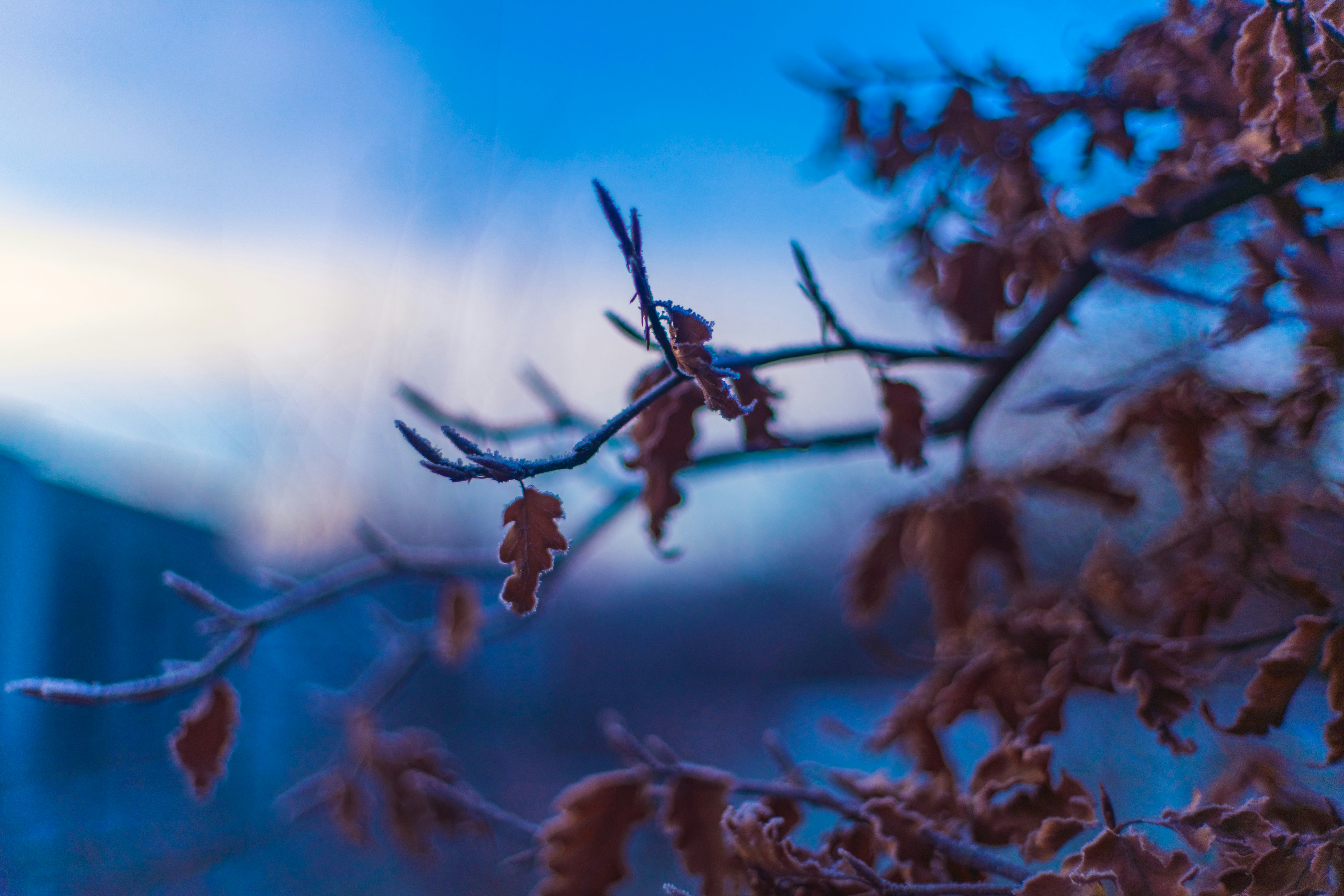 Photo by raimondklavins