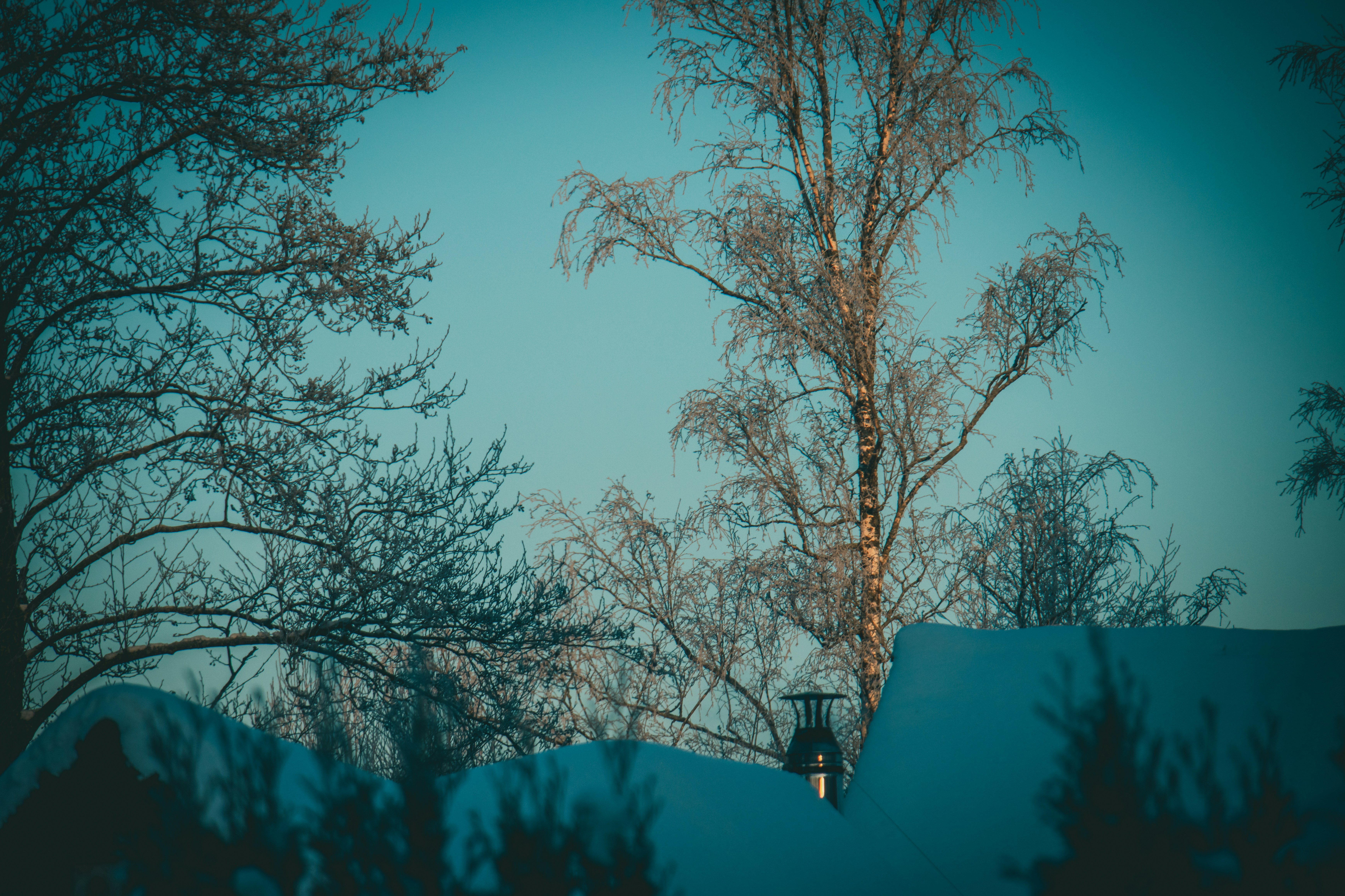 Photo by raimondklavins