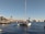A large catamaran is sailing on a calm body of water near a modern city pier. The background features a distinctive building with a sail-like design and other industrial structures. People are strolling along the pier lined with palm trees under a clear blue sky.