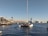 A large catamaran is sailing on a calm body of water near a modern city pier. The background features a distinctive building with a sail-like design and other industrial structures. People are strolling along the pier lined with palm trees under a clear blue sky.