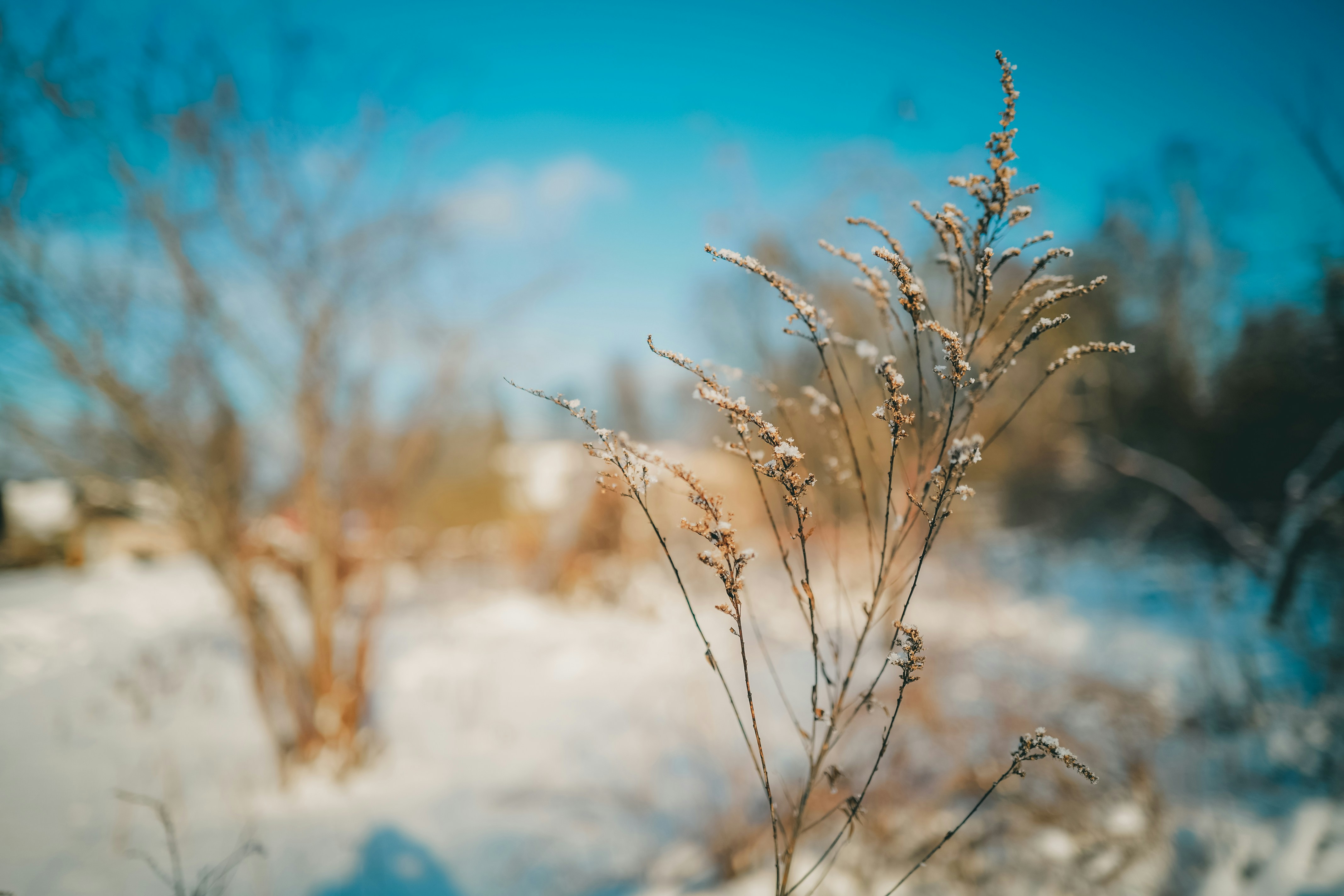 Photo by raimondklavins