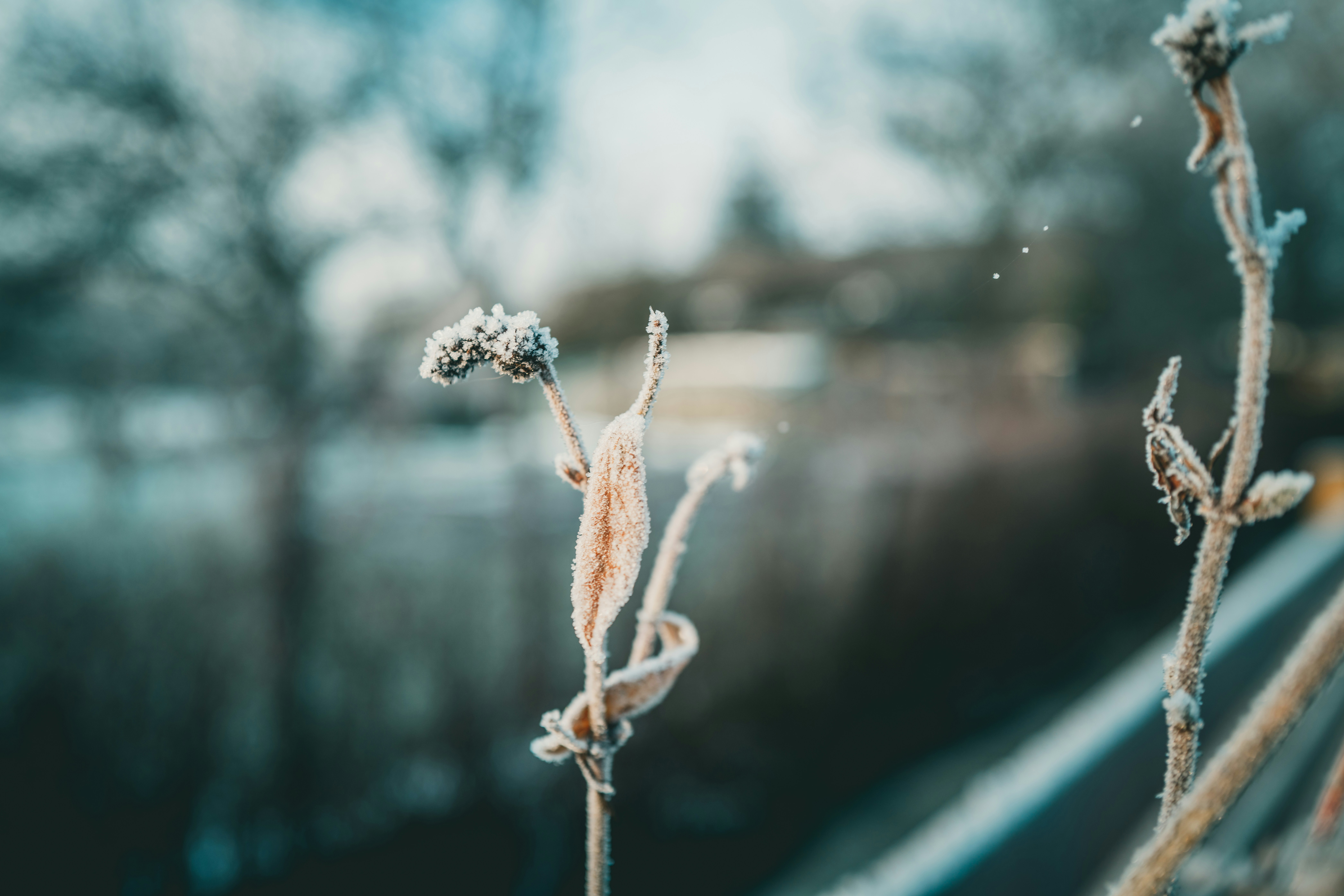 Photo by raimondklavins