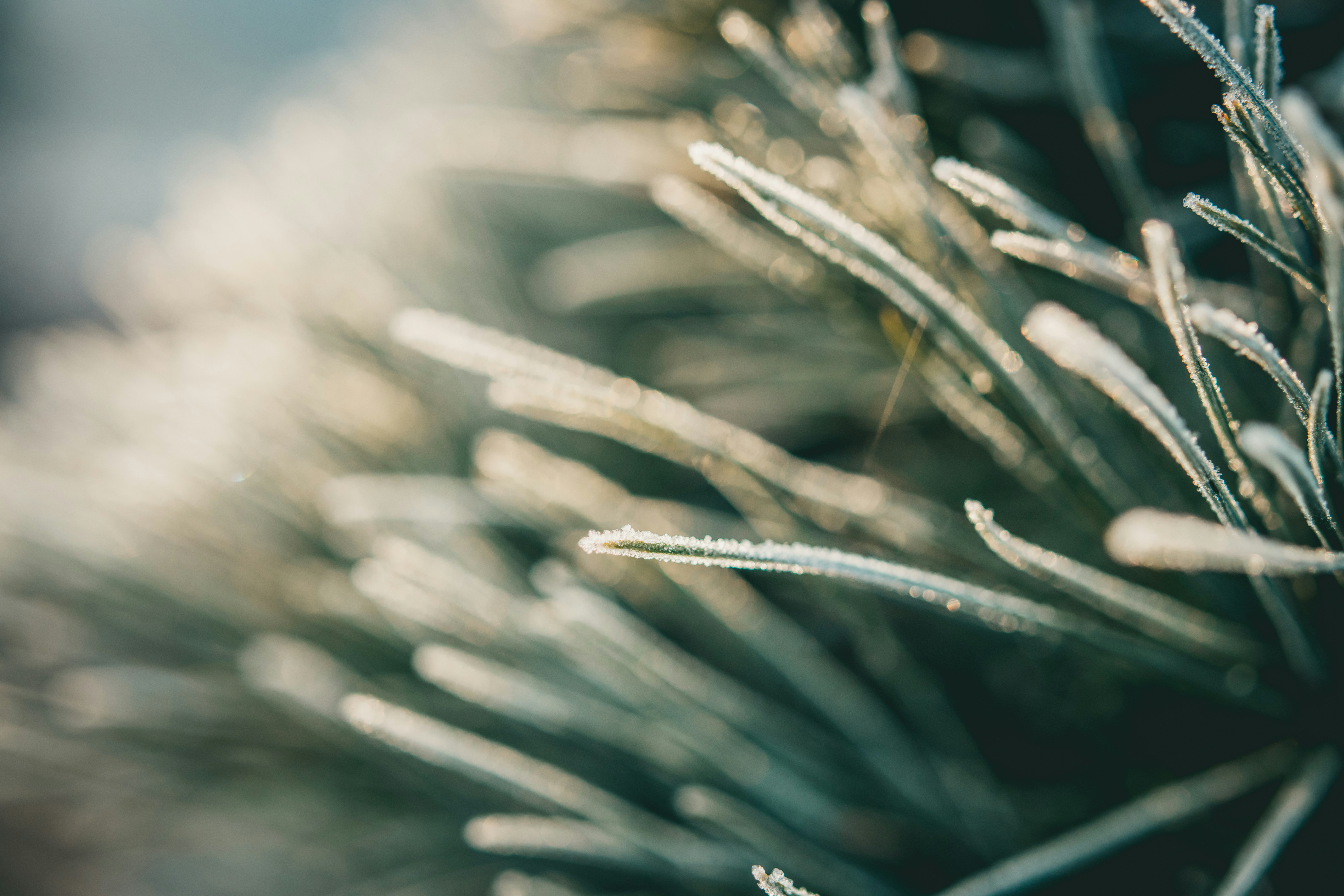 Photo by raimondklavins